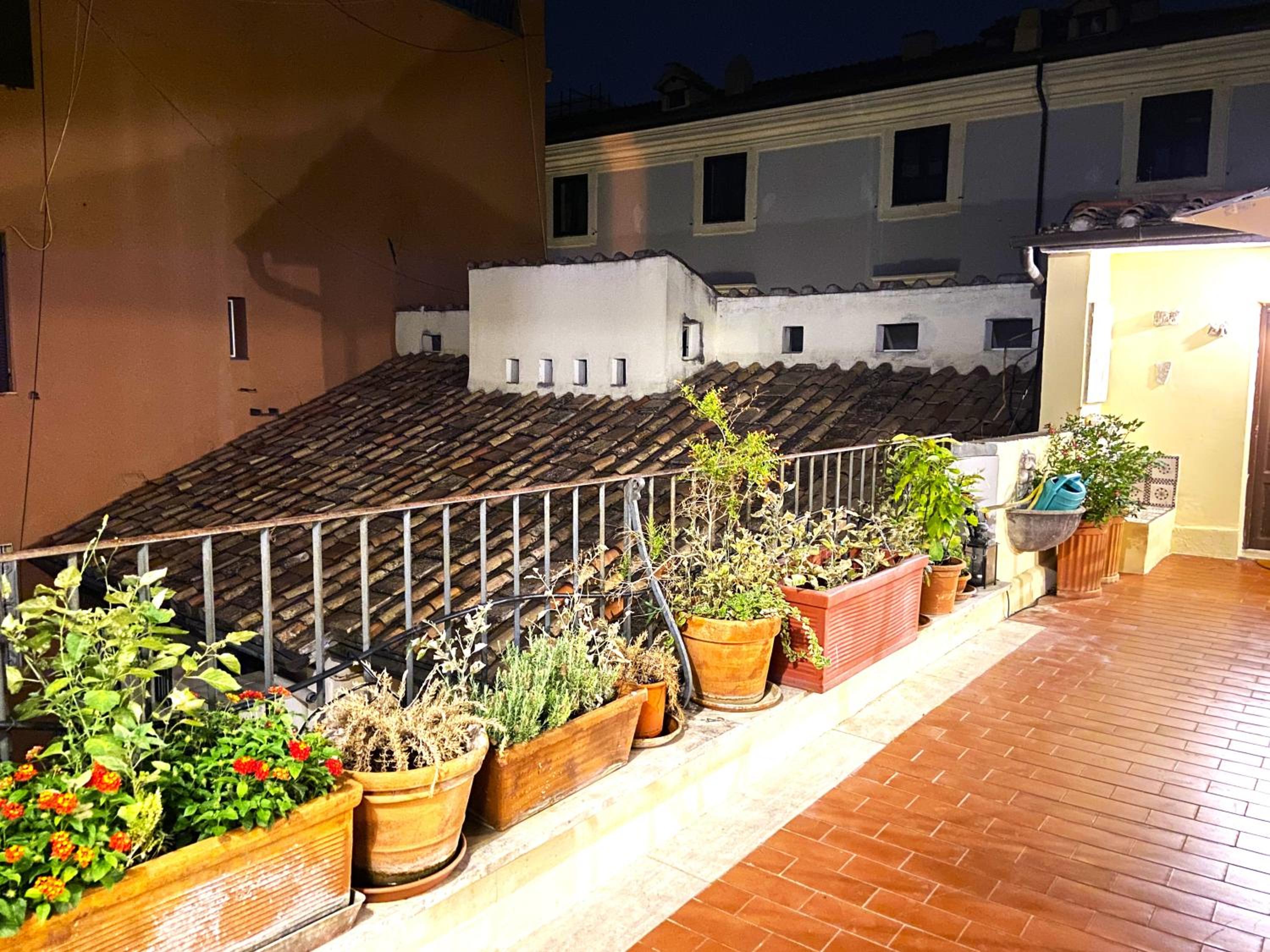 Terraces under the Moon