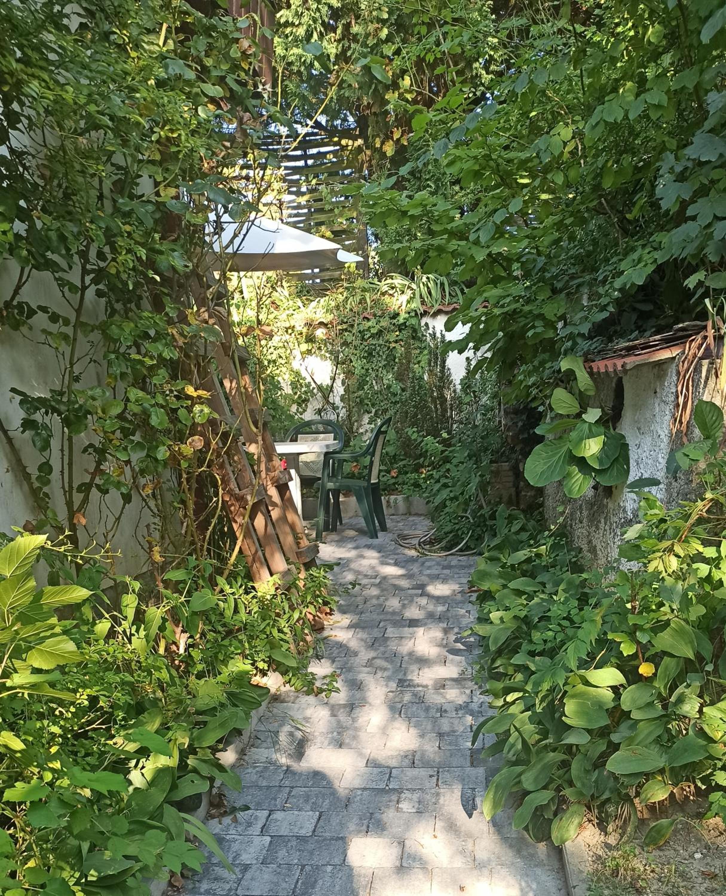 Photo 45