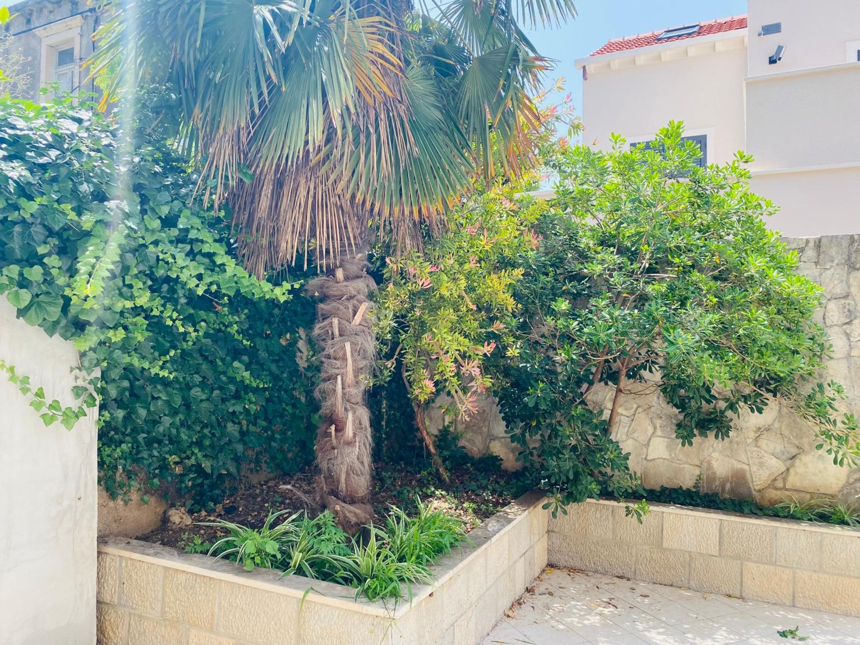 PaFi Apartment