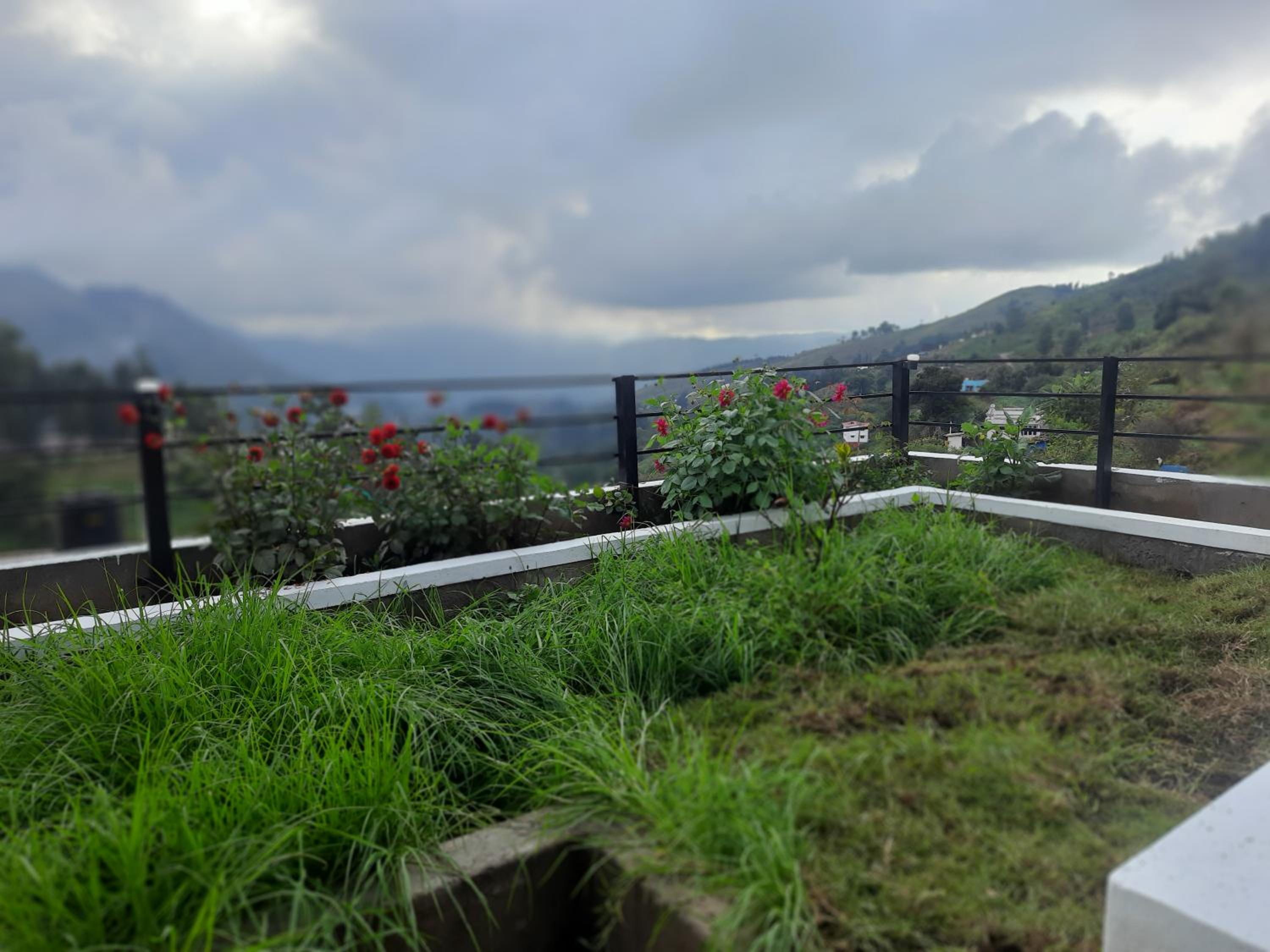 roof