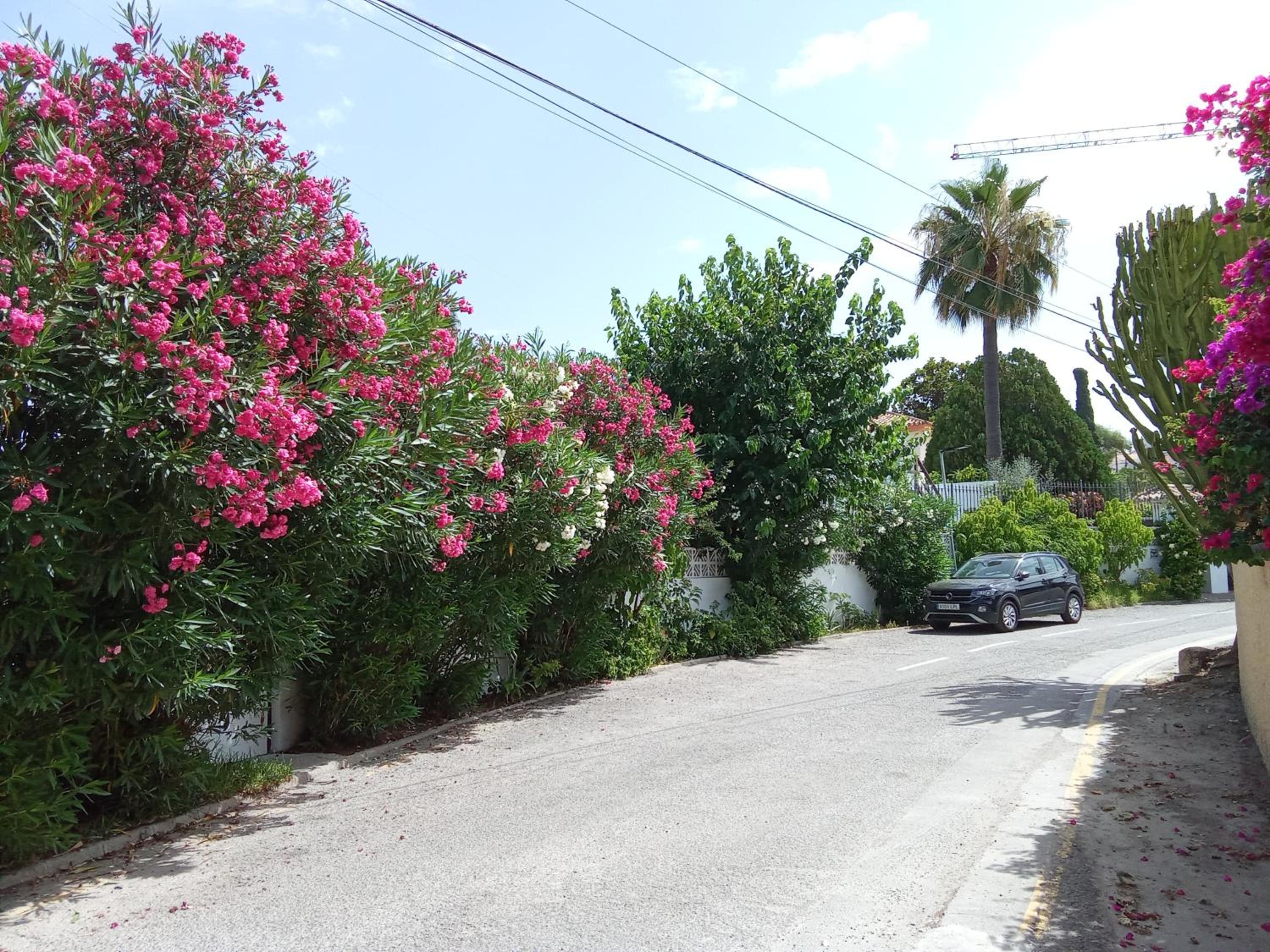 Apartamento con aparcamiento exclusivo en Marbella - Image 5