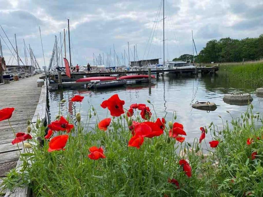 Ferienhaus mit Wasserblick auf der Insel Usedom
