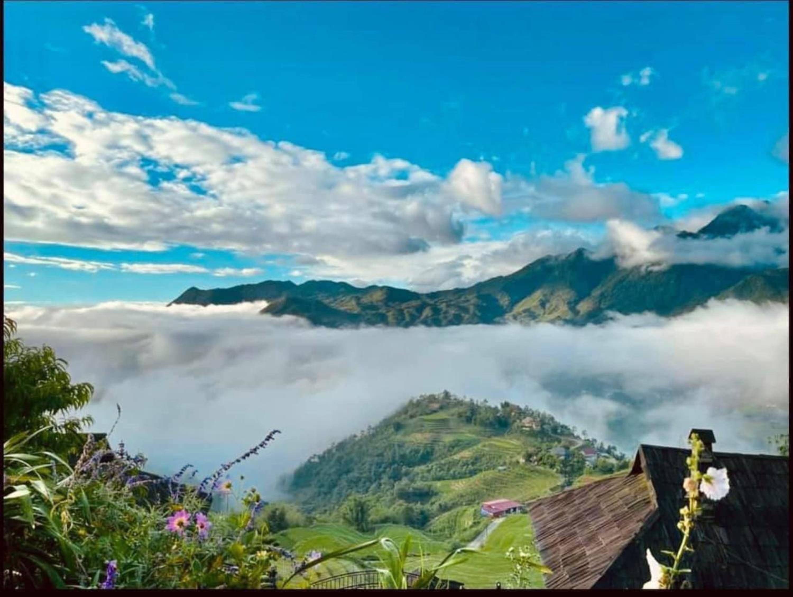 Ultra View Homestay view 5