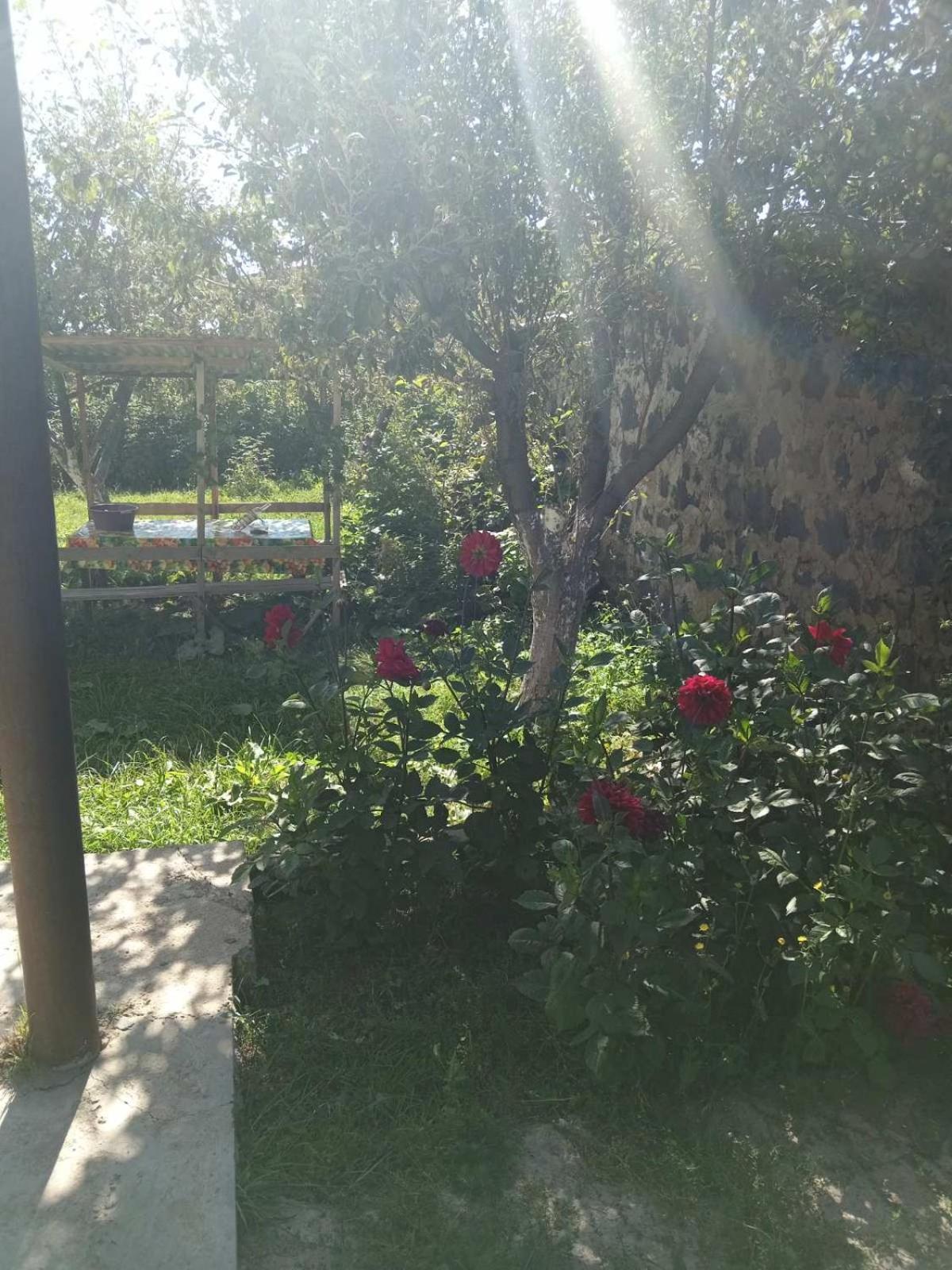 Family house