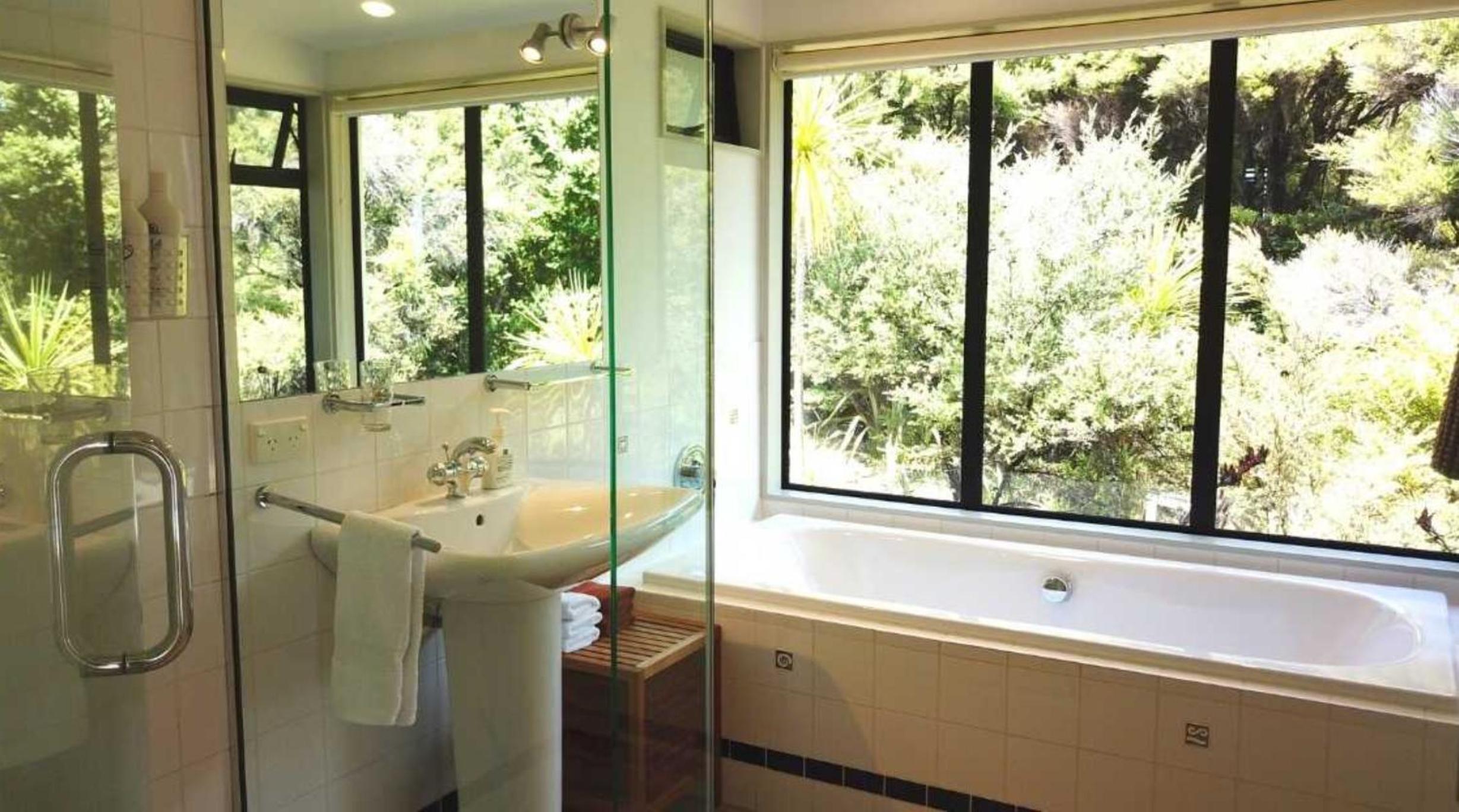 Te Huia view 4