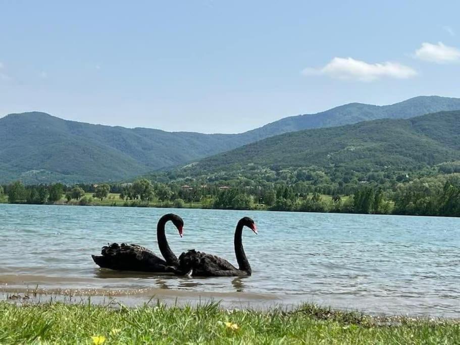 Vacation house in Pravets golf resort At Pravets Lake