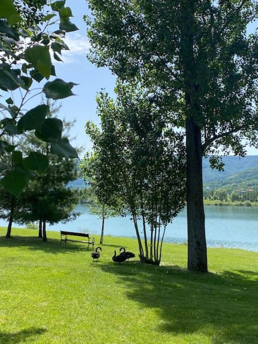 Vacation house in Pravets golf resort At Pravets Lake
