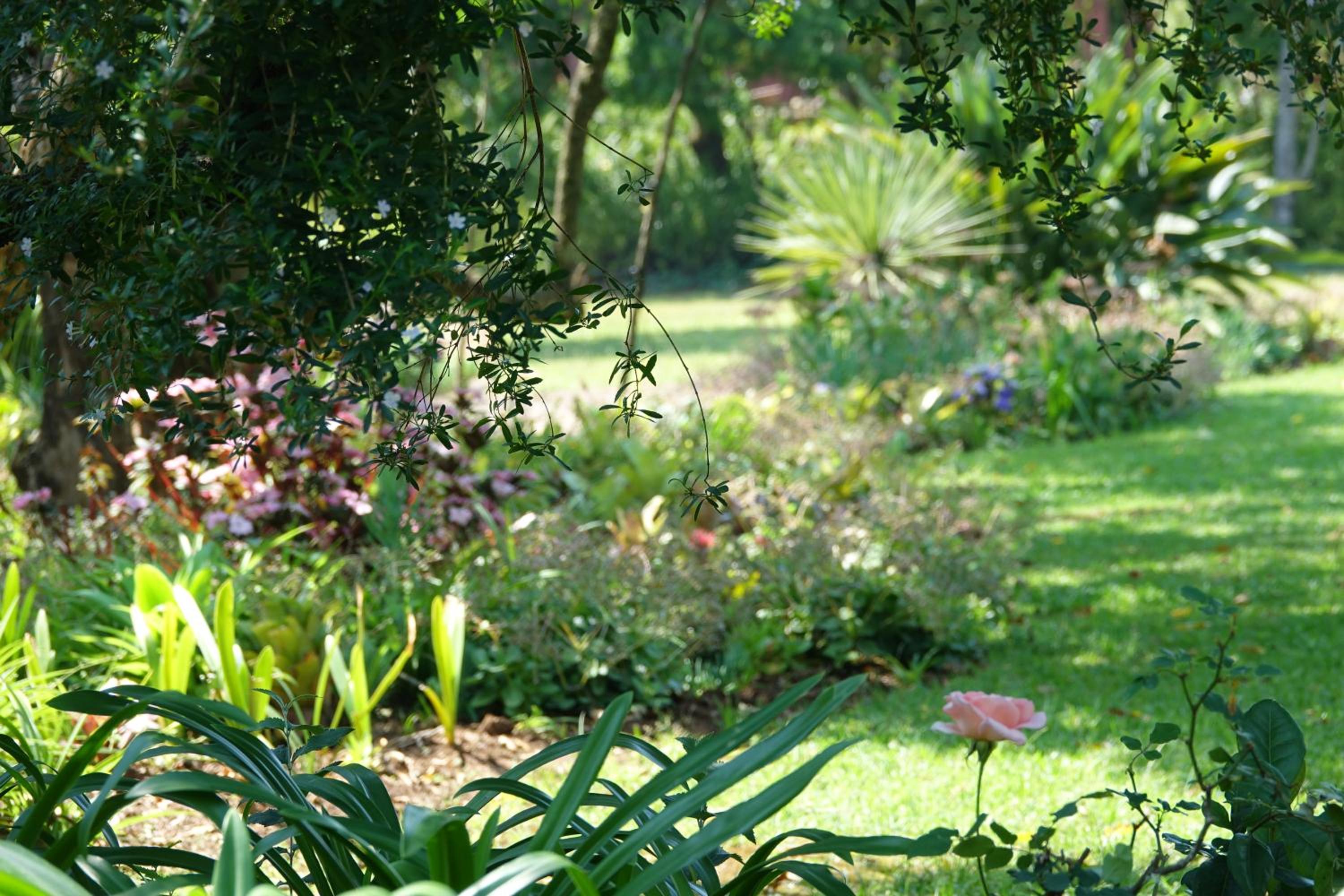 Ekukhanyeni, The Place of Light view 2