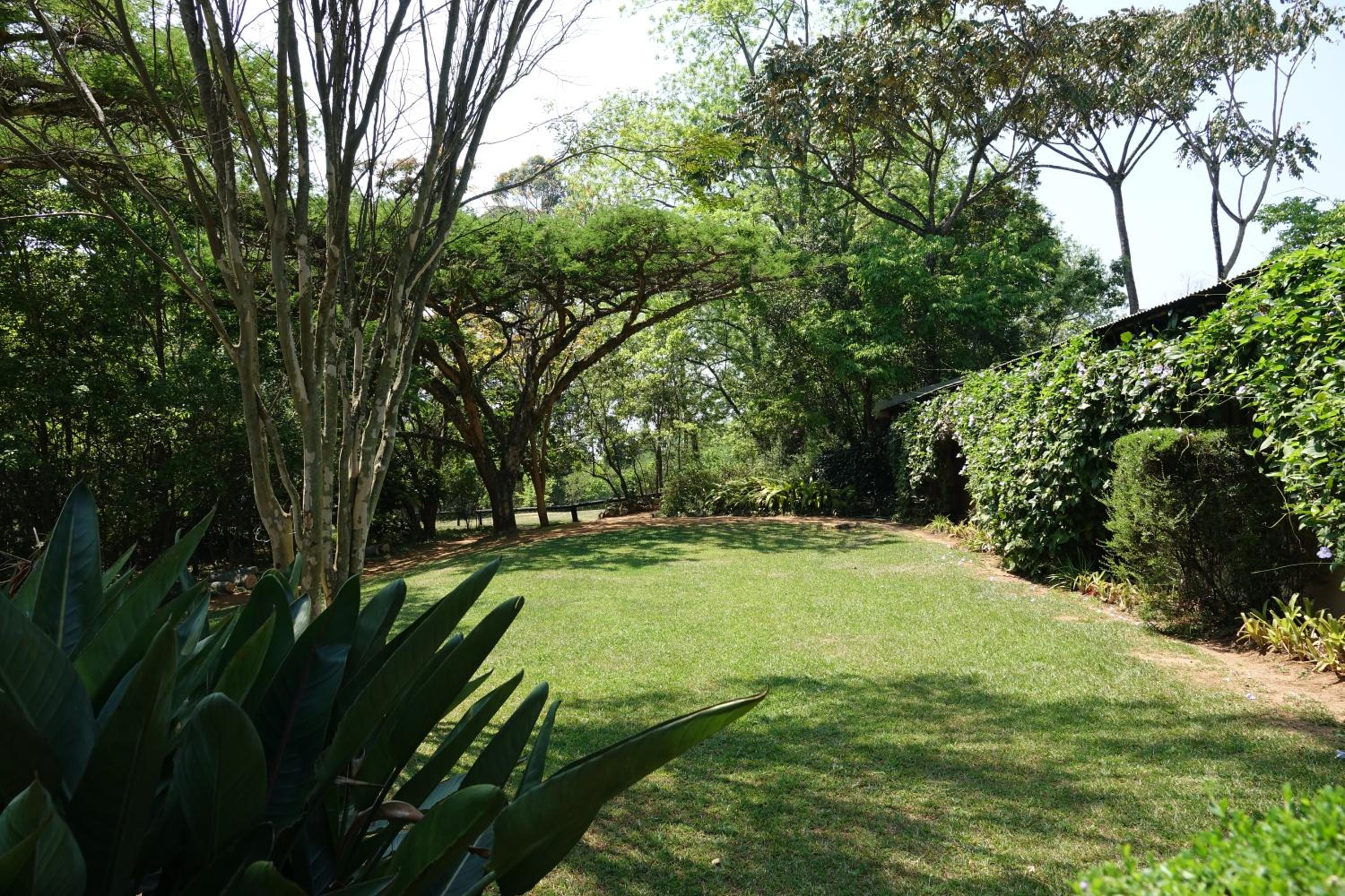 Ekukhanyeni, The Place of Light view 3