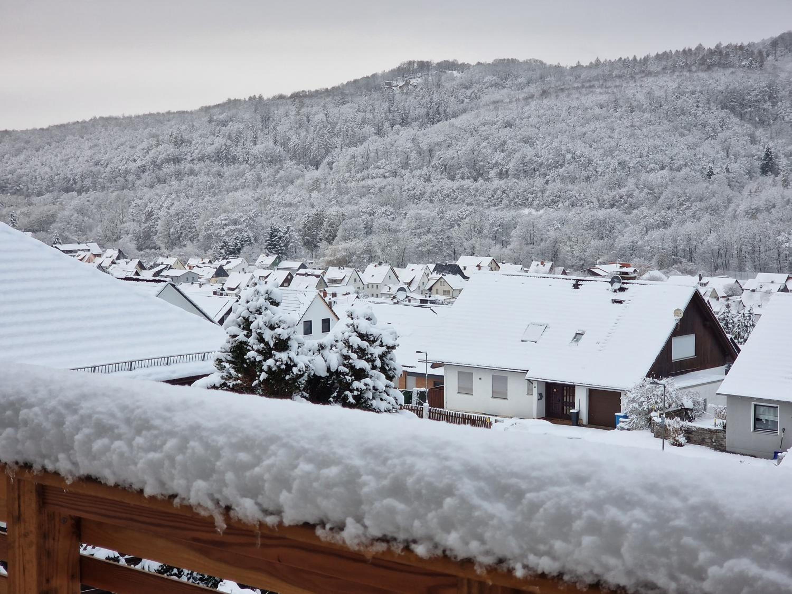 Ferienwohnung Starennest mit direktem Harzblick