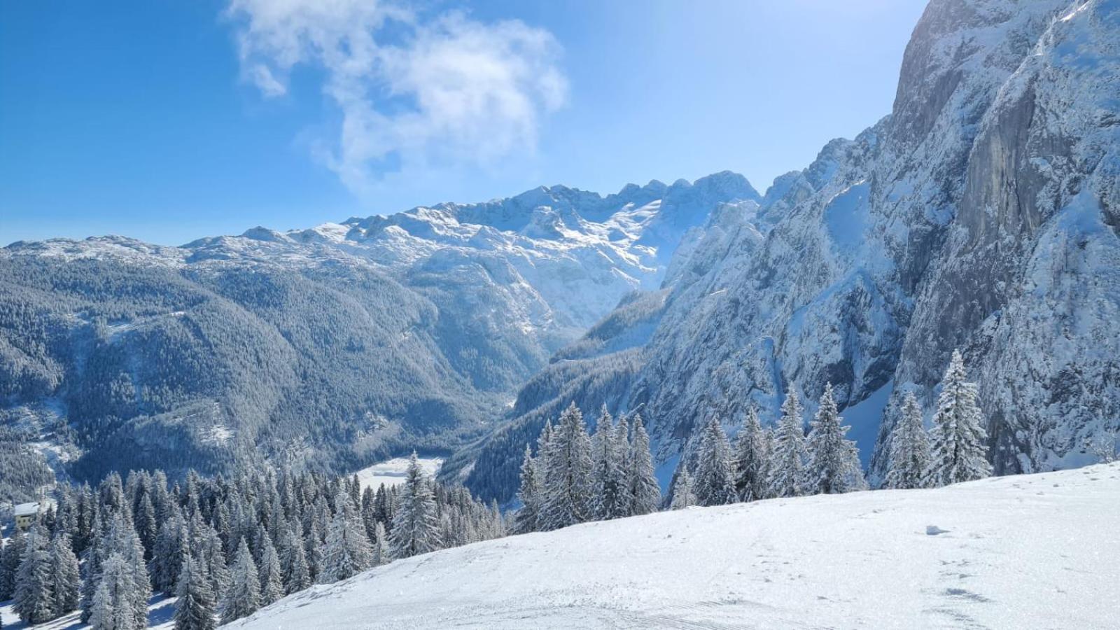 Dangos Mountainview Gosau