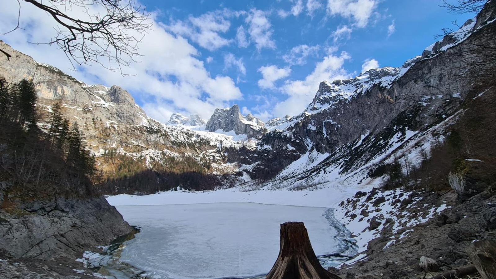 Dangos Mountainview Gosau