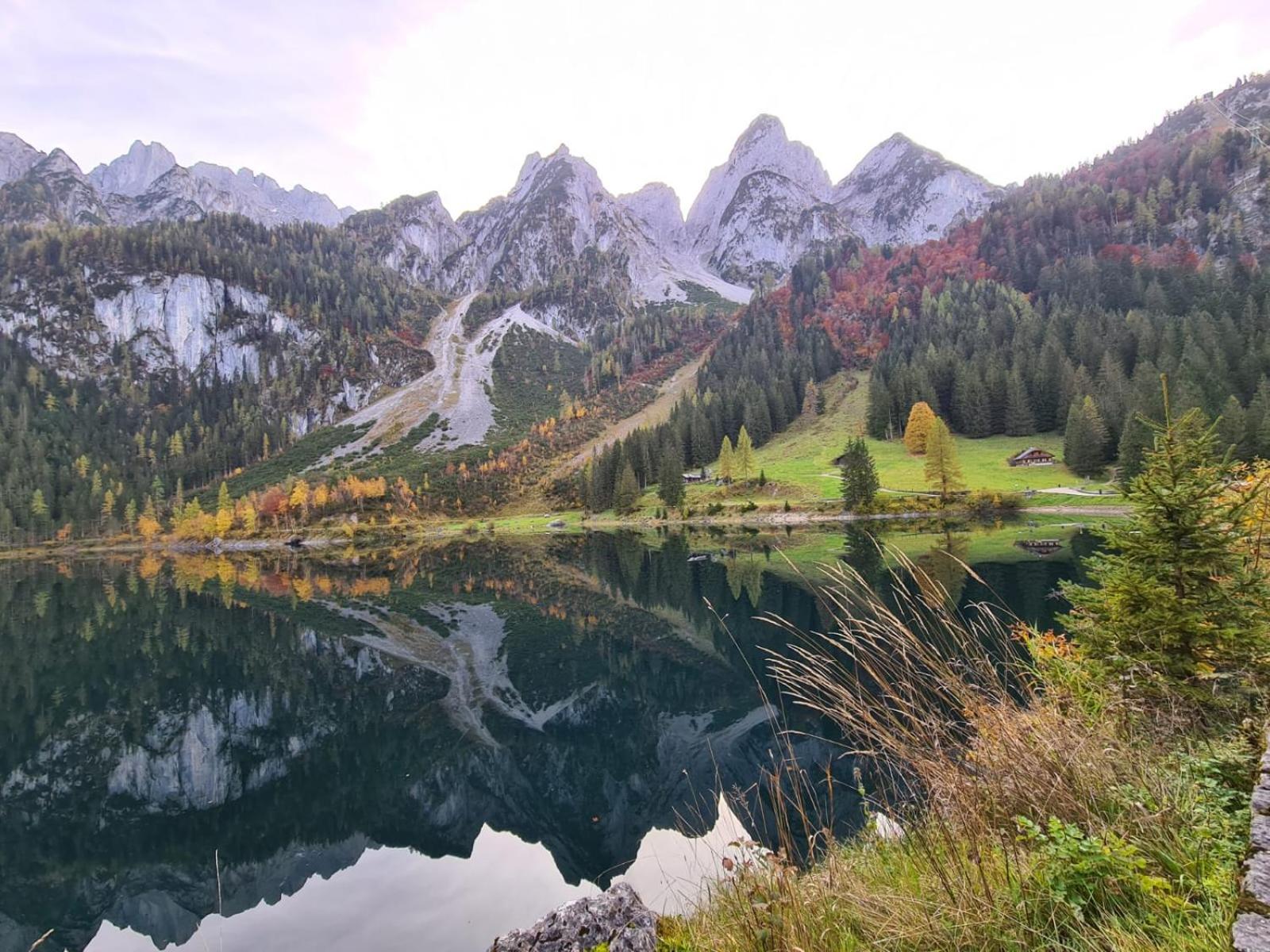 Dangos Mountainview Gosau