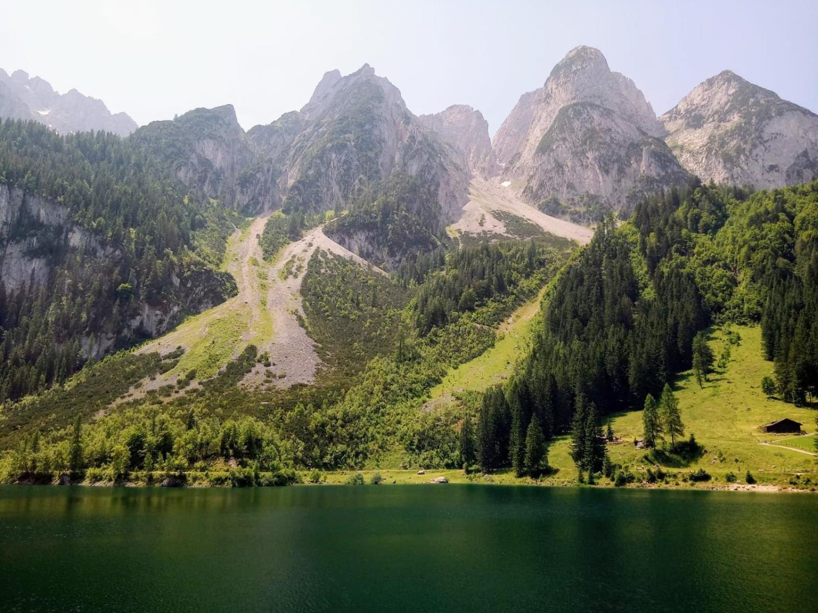 Dangos Mountainview Gosau