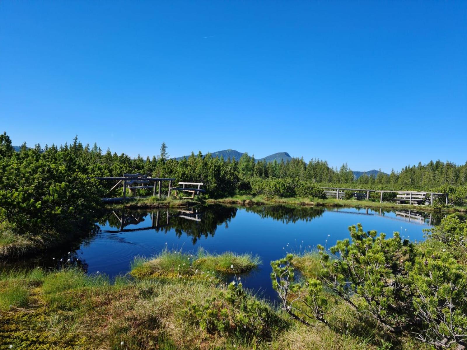 Dangos Mountainview Gosau