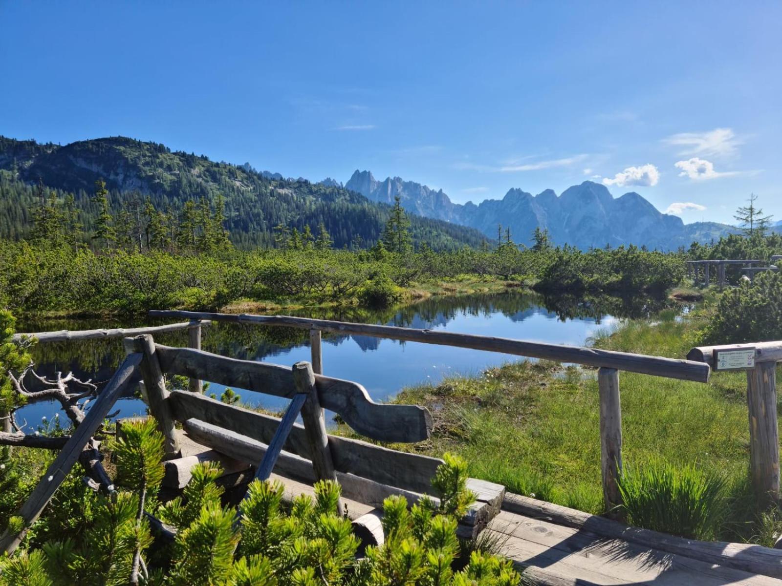 Dangos Mountainview Gosau