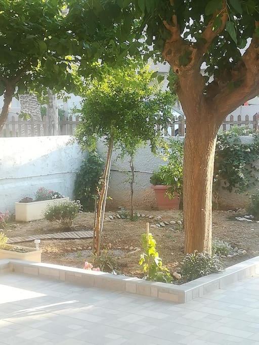 Rania 's house, next to the beach.