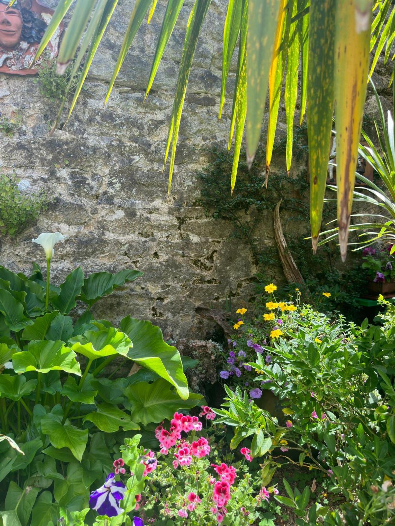 Quimper Centre, photo 3