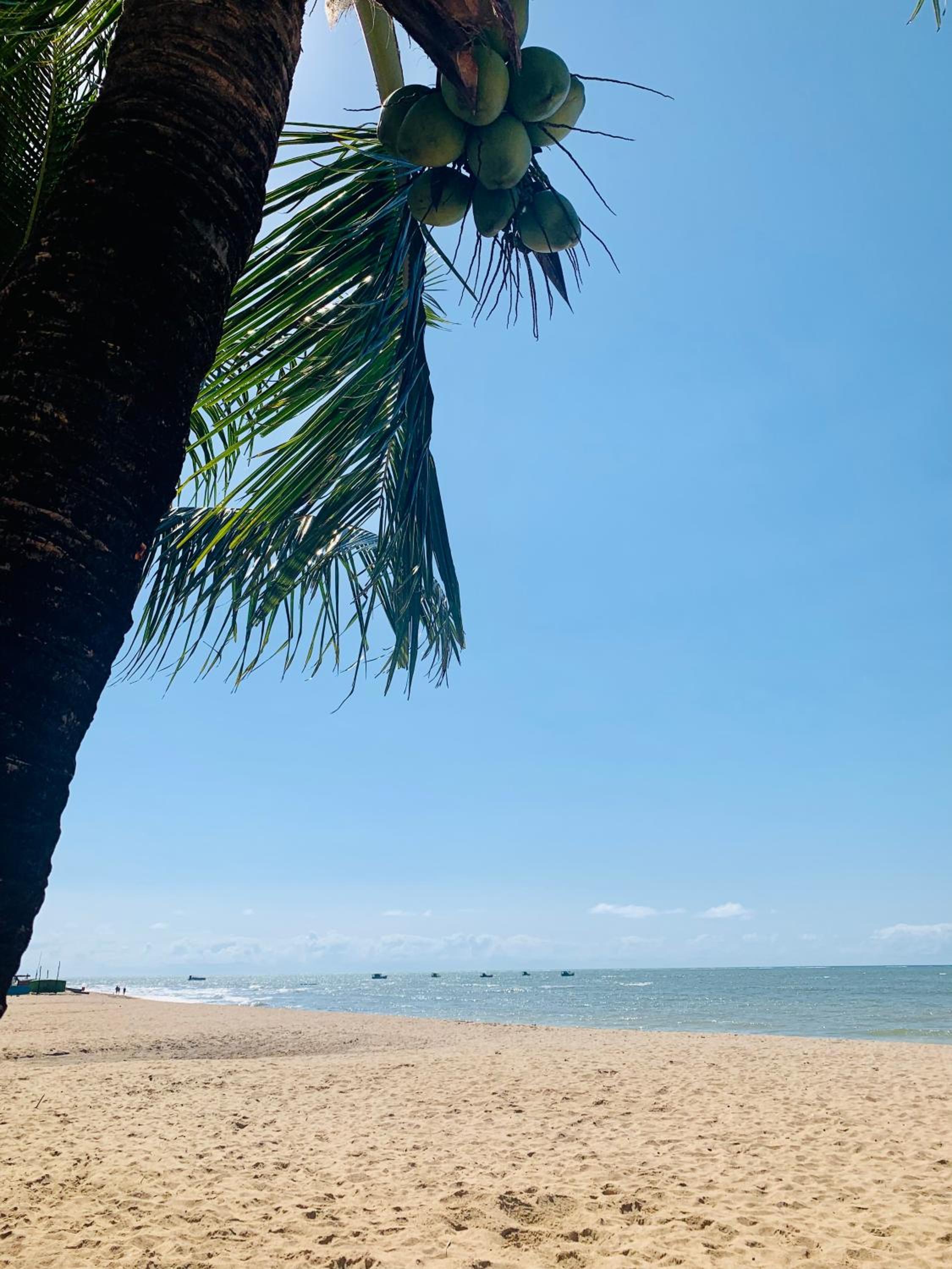other