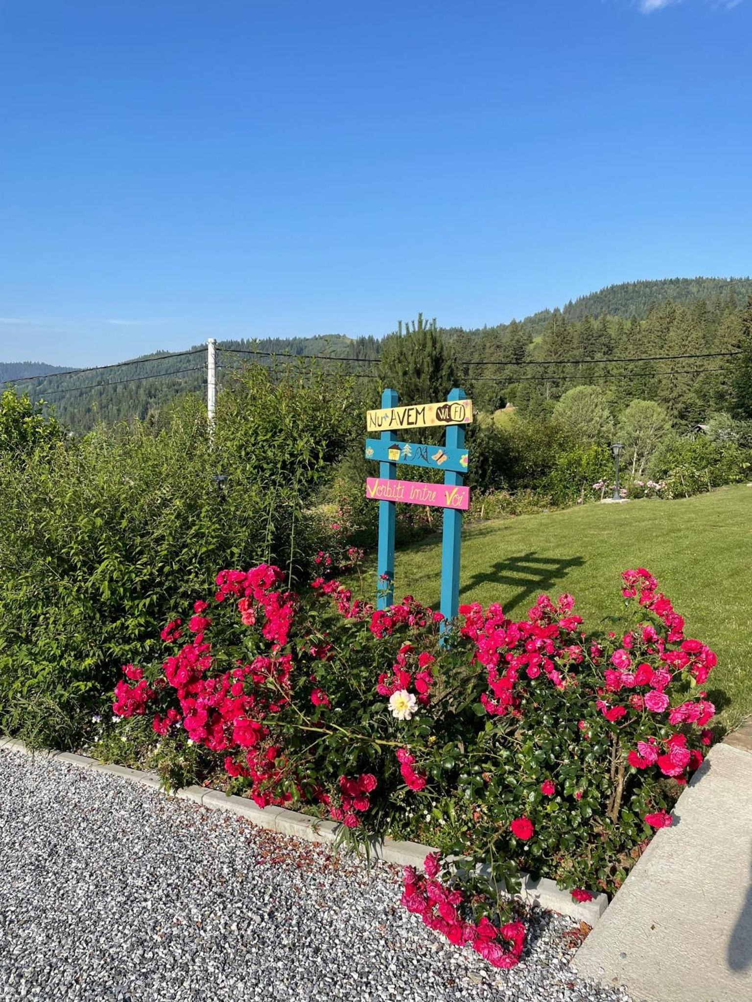 Casa Izvorul Rarăului