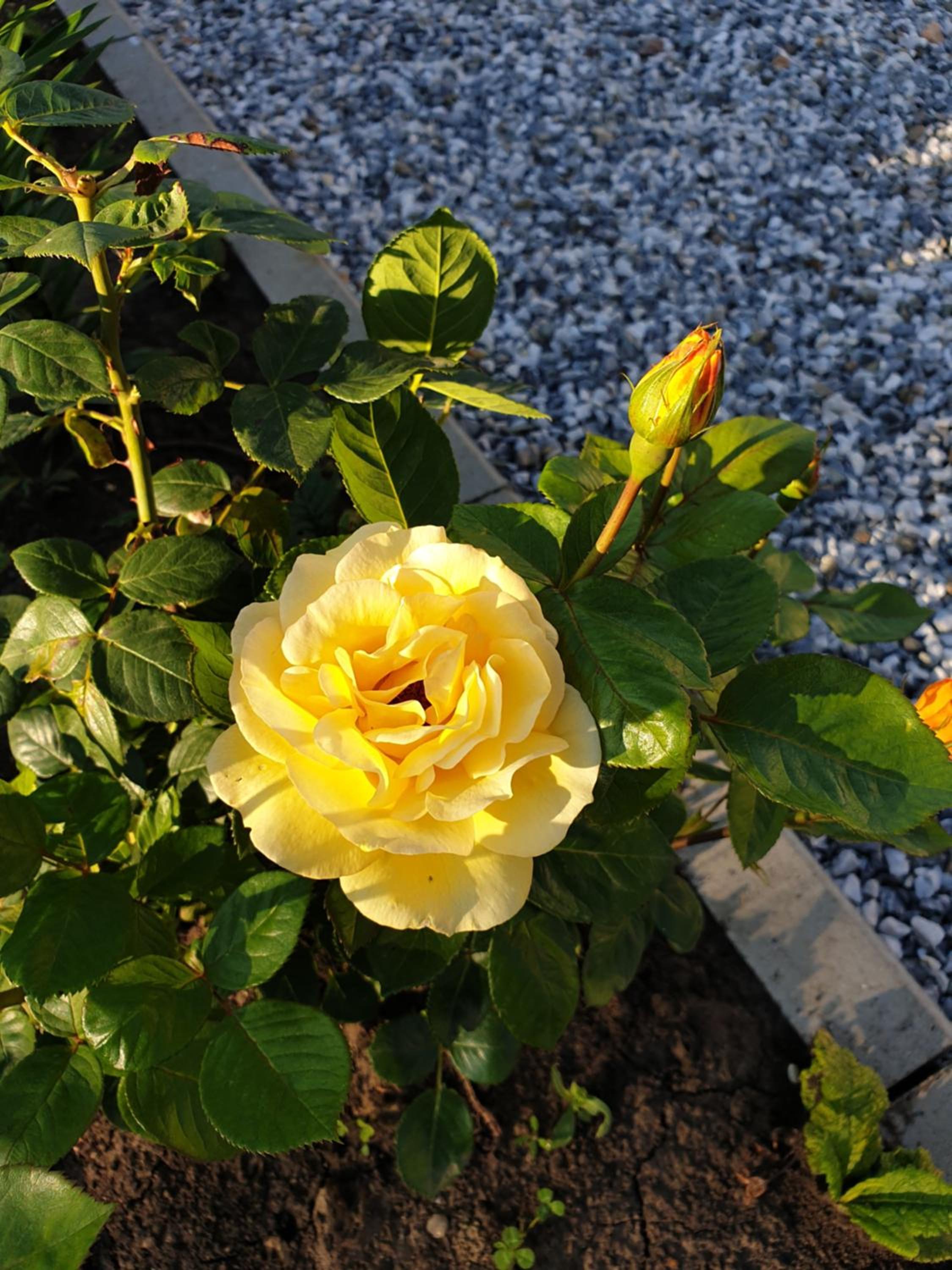 Photo 48