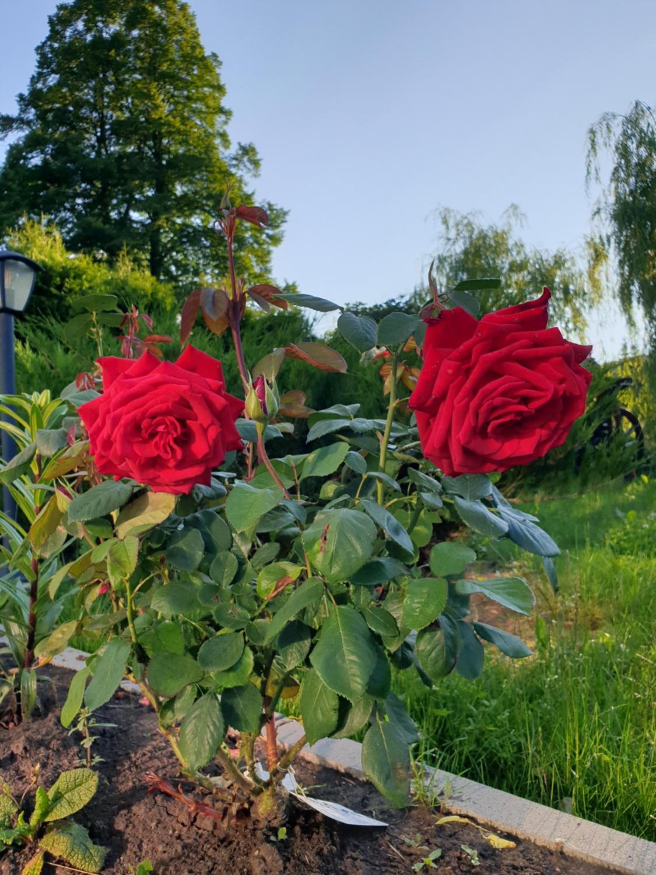 Photo 33
