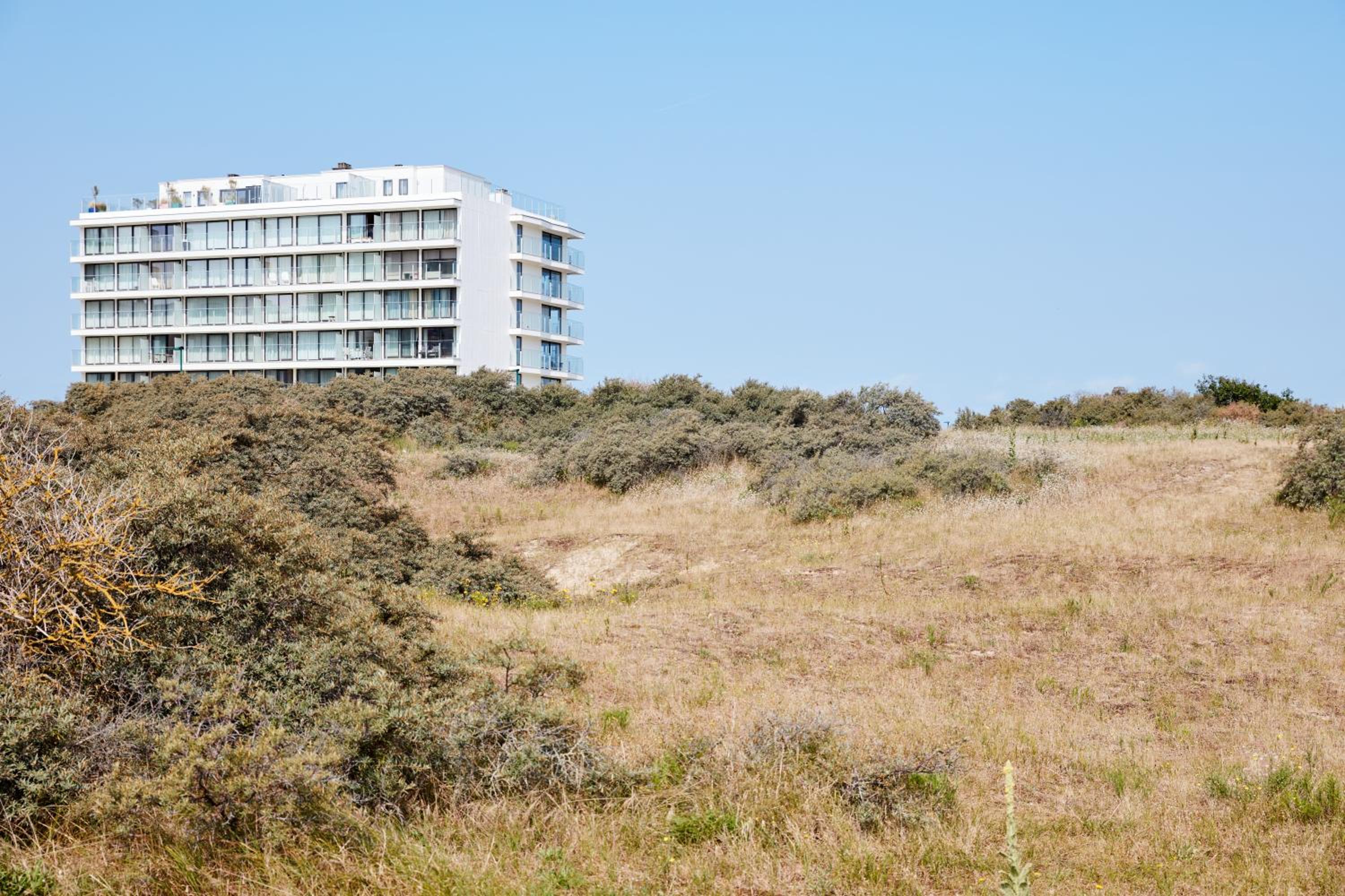 The Pink Penthouse