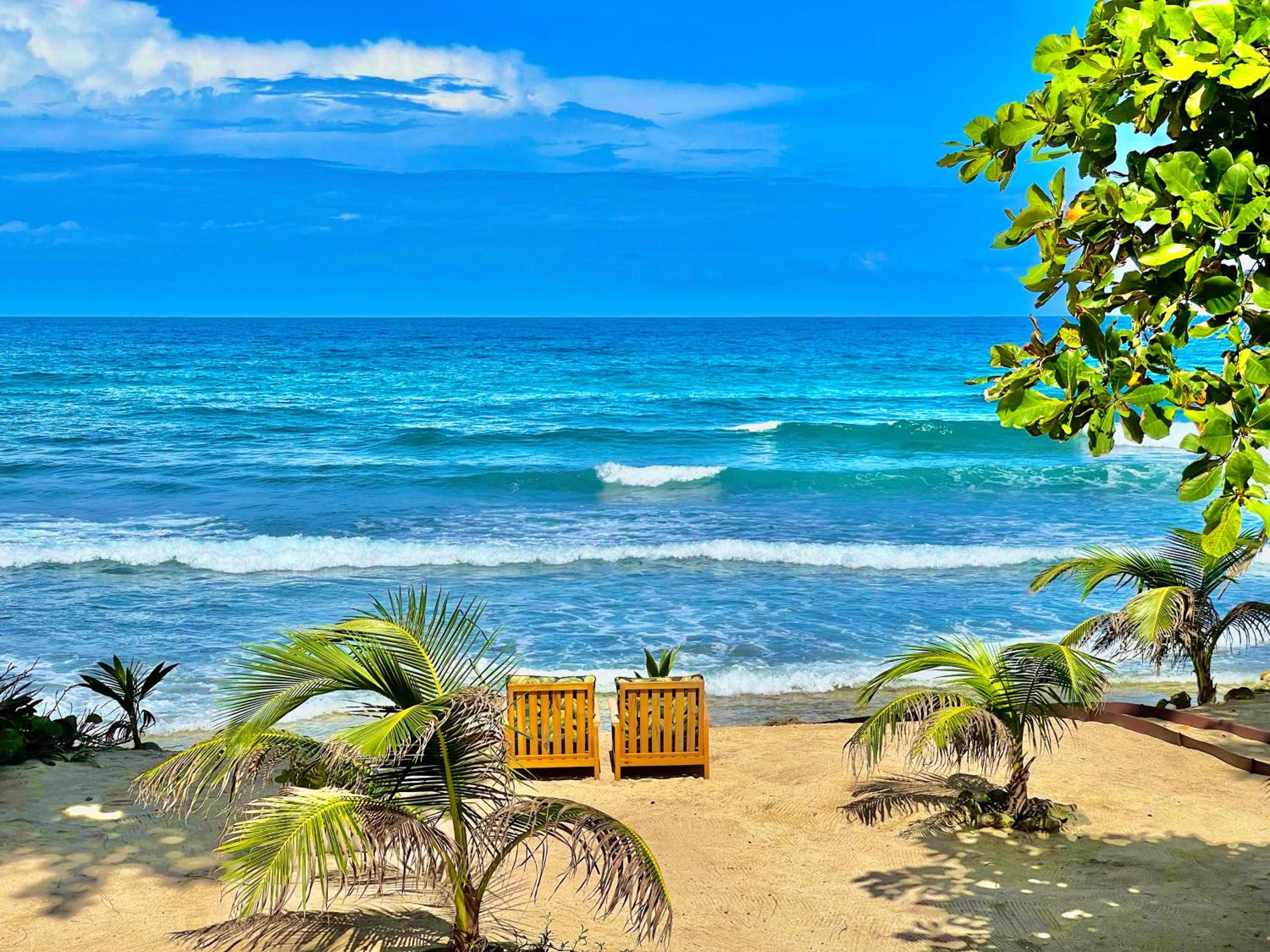 Turtle Beach Sanctuary, Utila