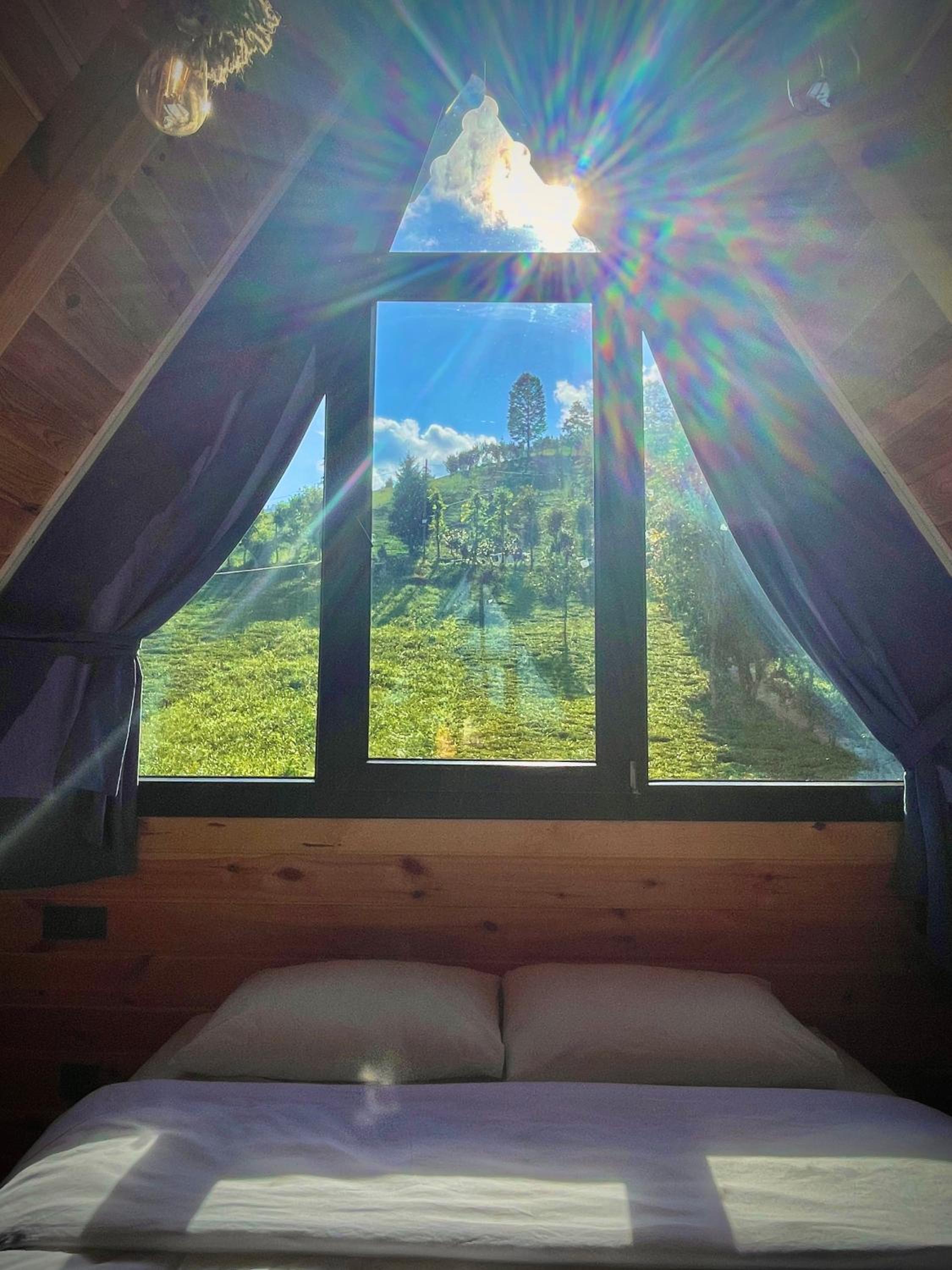 Doğallife suit bungalow — photo 4