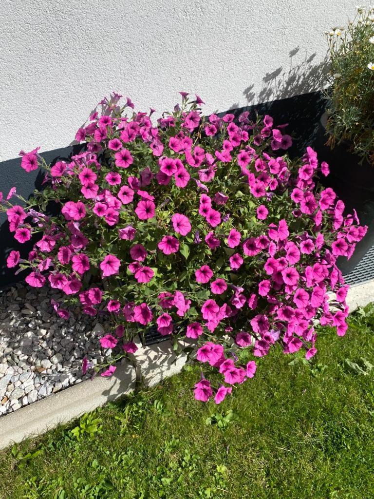 Ferienwohnung Rimml