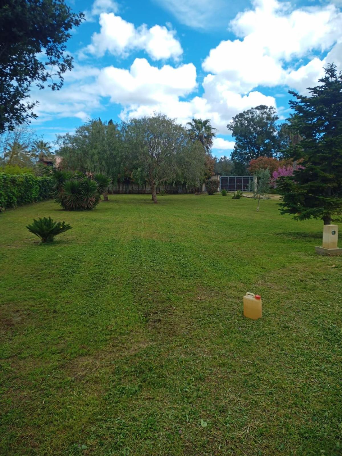 Photo 32