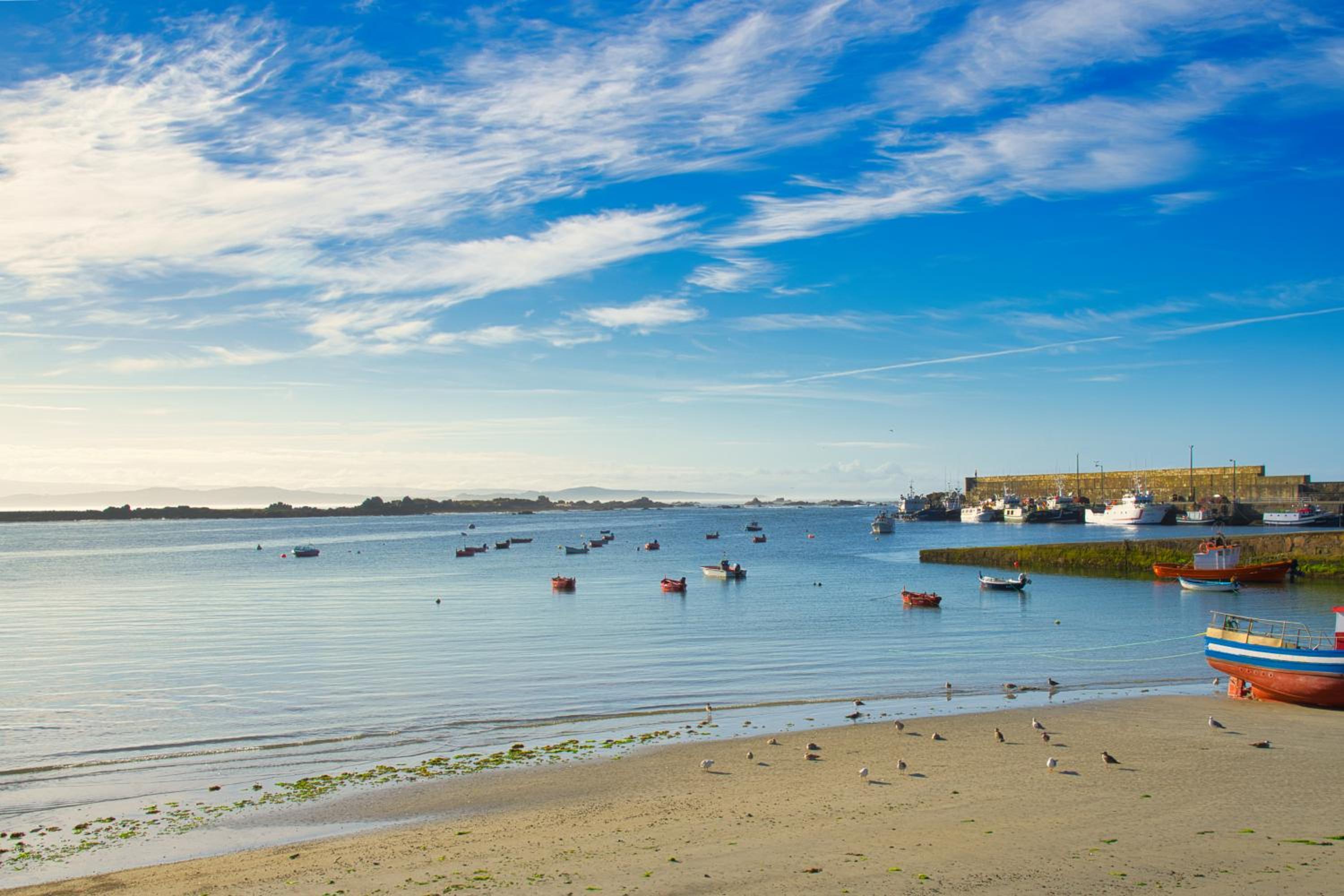 Lujo y vistas panorámicas en primera línea de mar