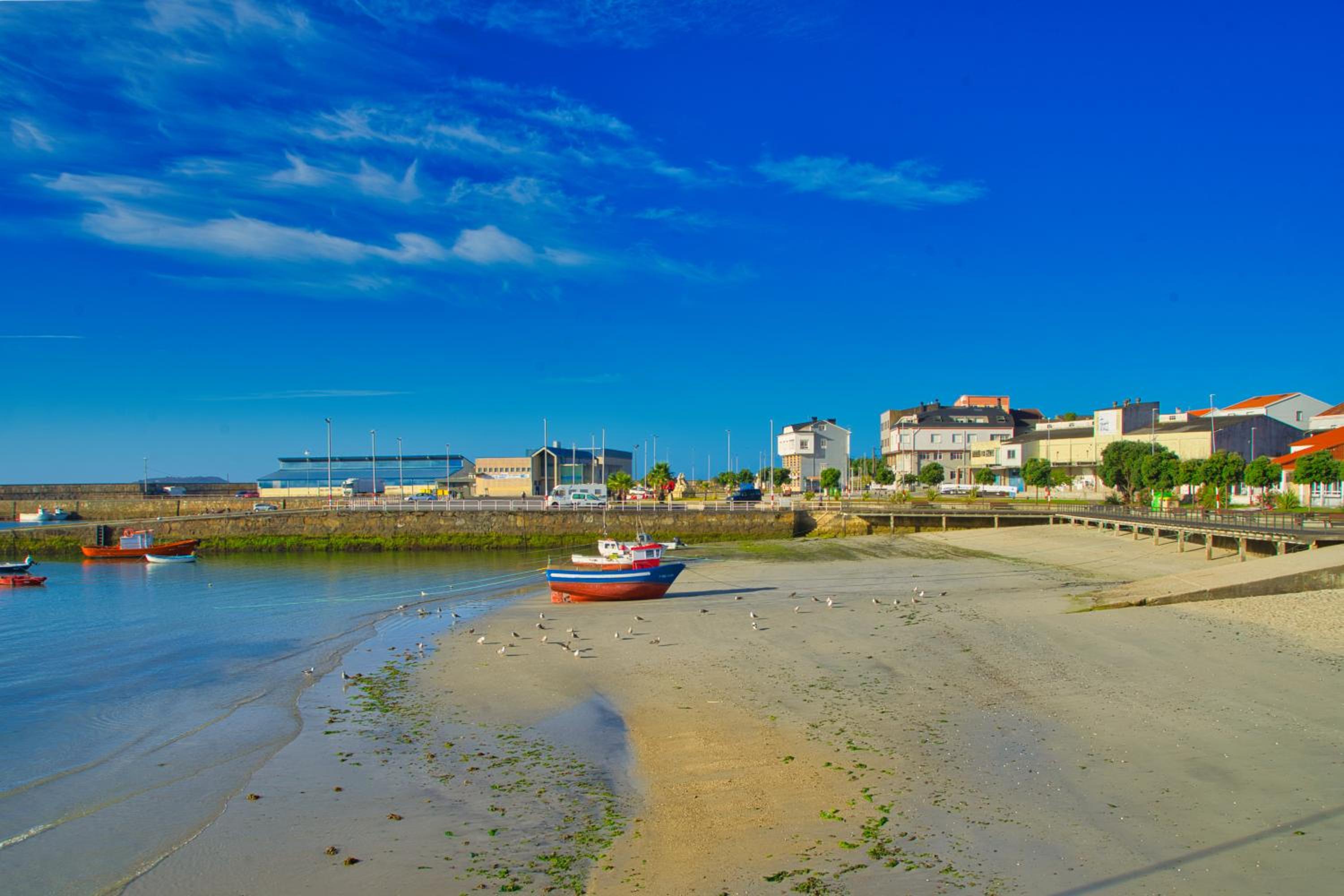 Lujo y vistas panorámicas en primera línea de mar