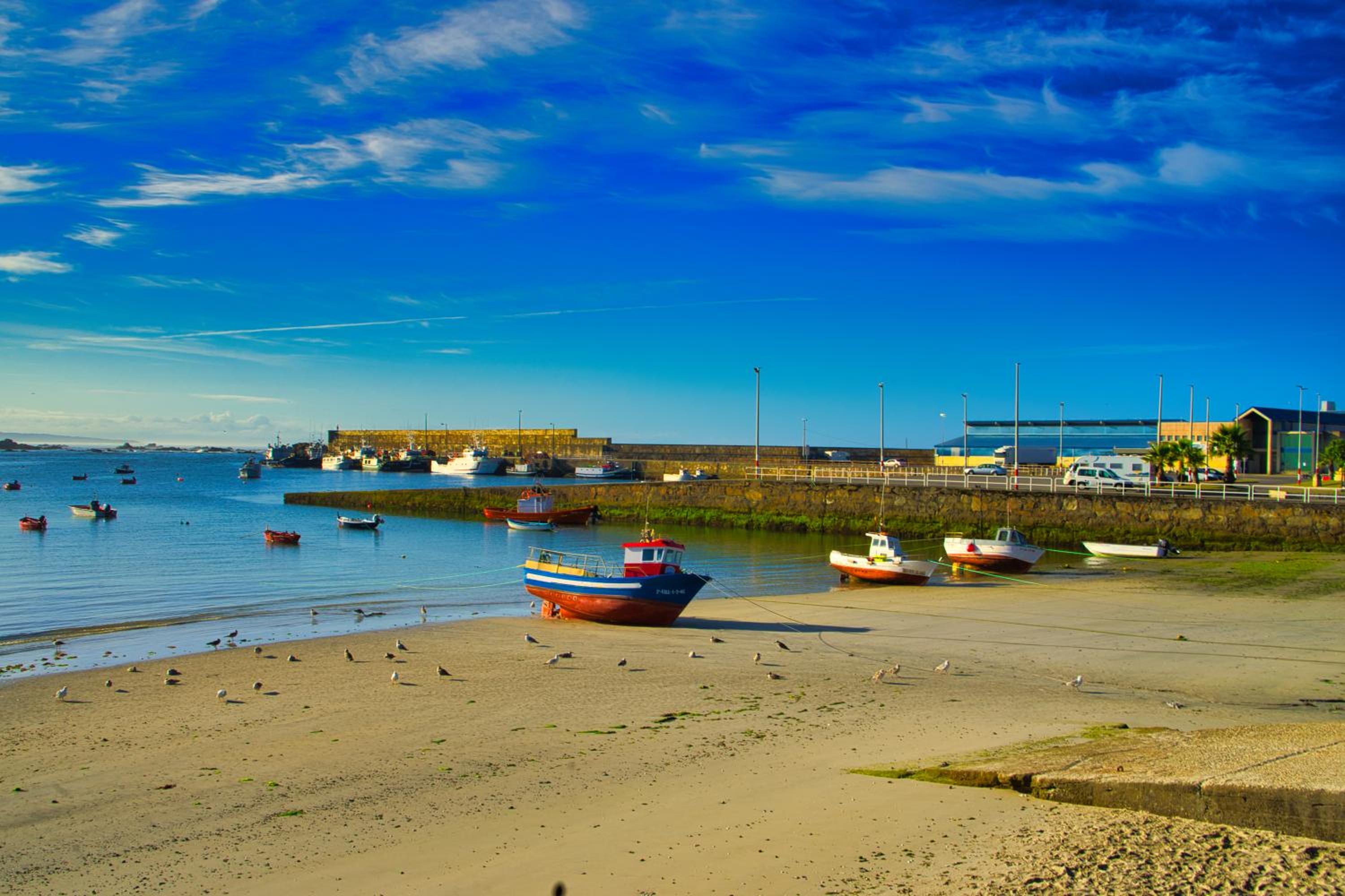 Lujo y vistas panorámicas en primera línea de mar