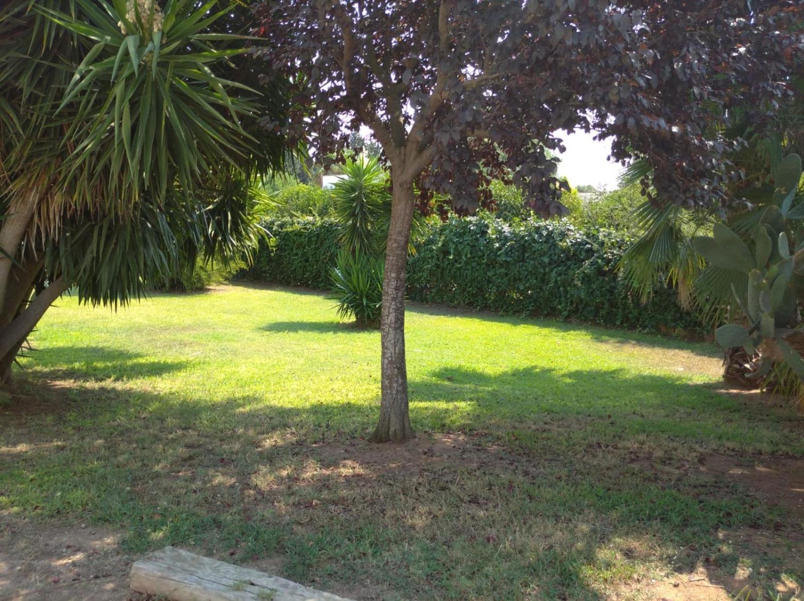 Photo 38