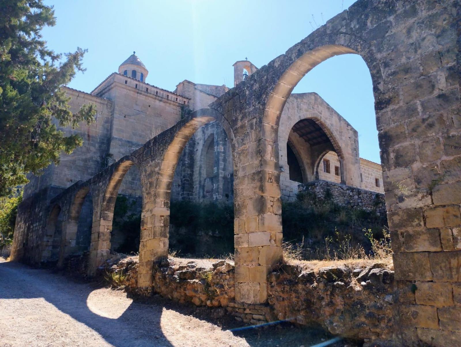 Photo 25