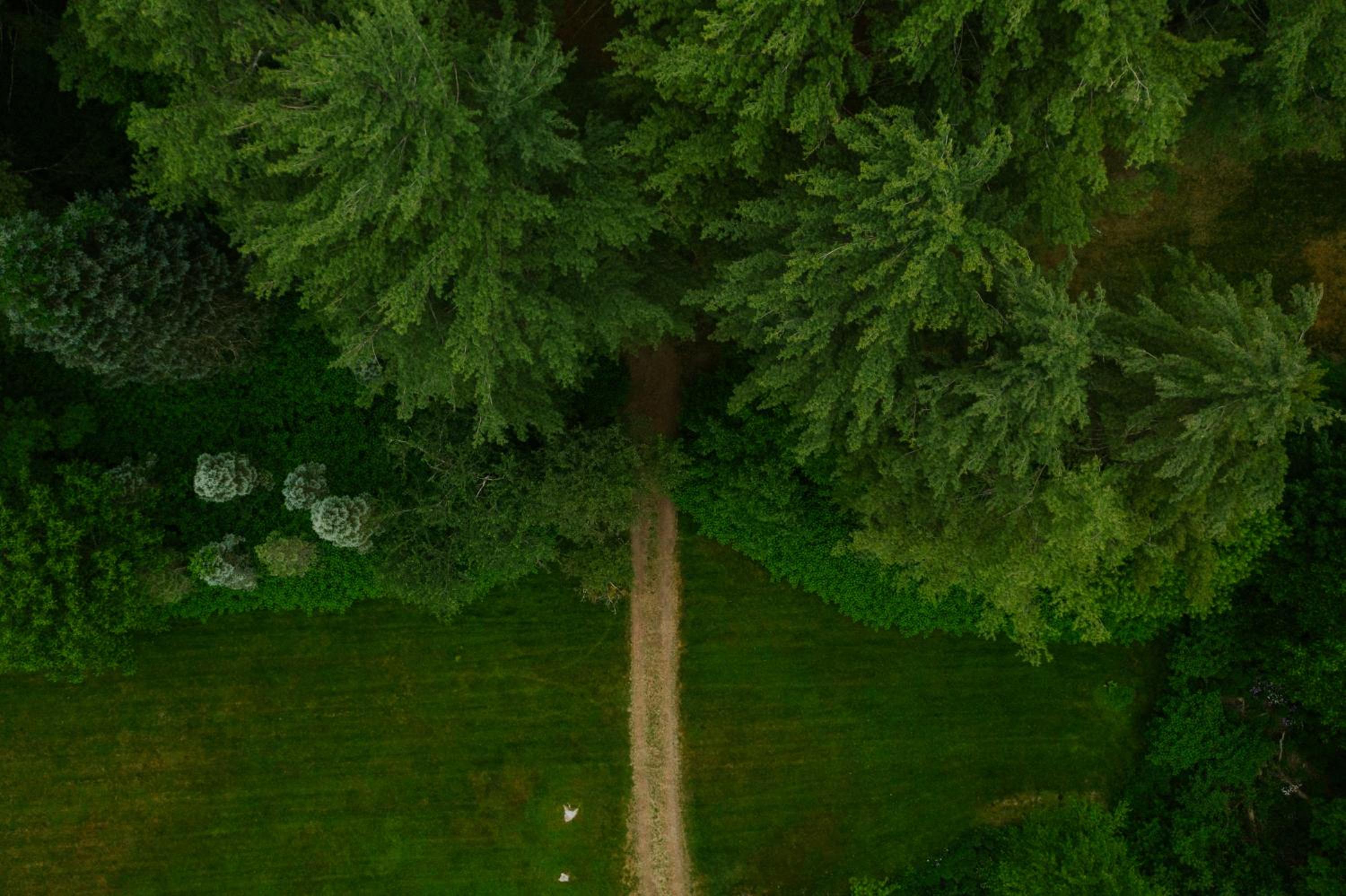 The Leeway view 3