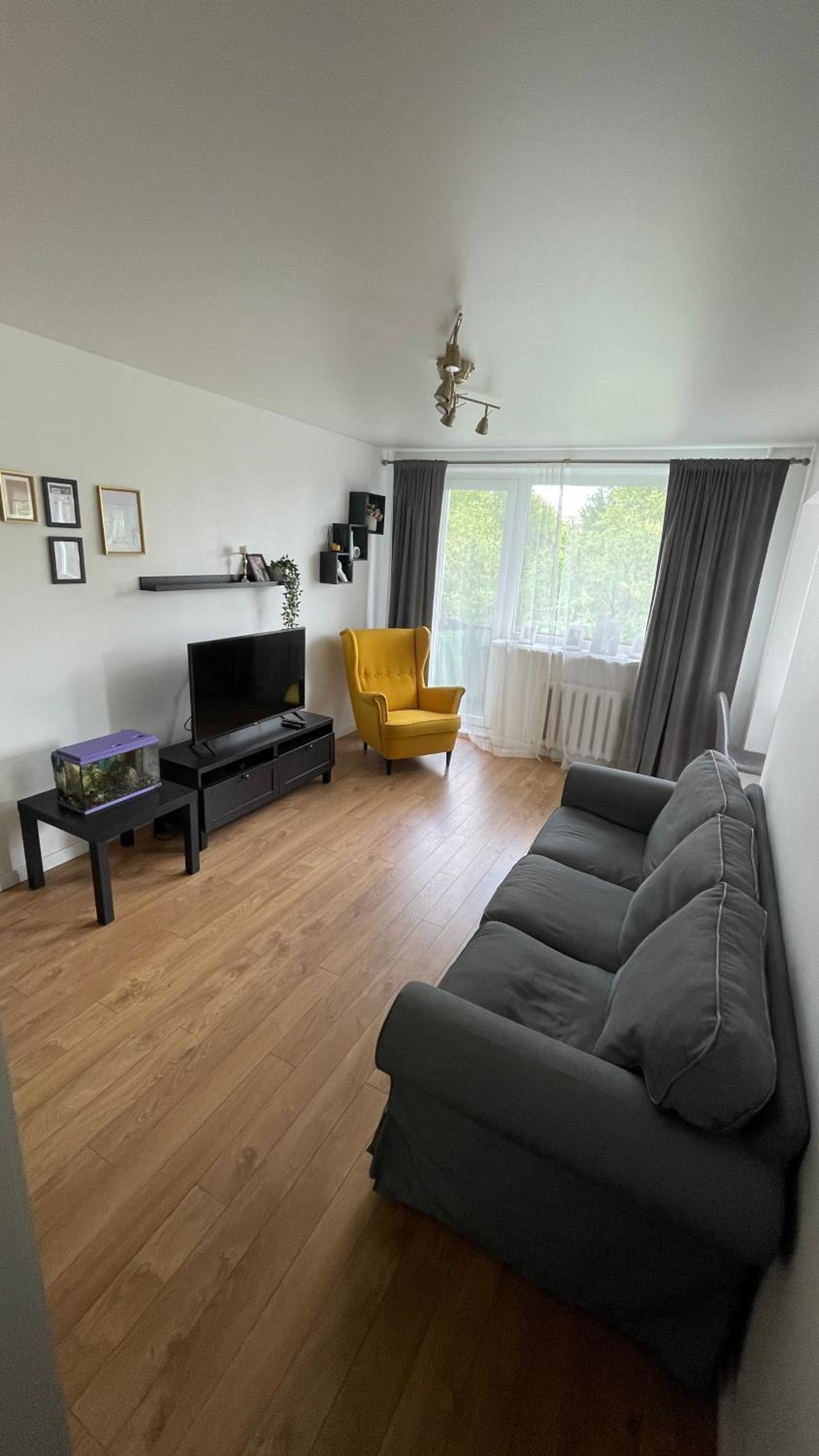 Arena apartment