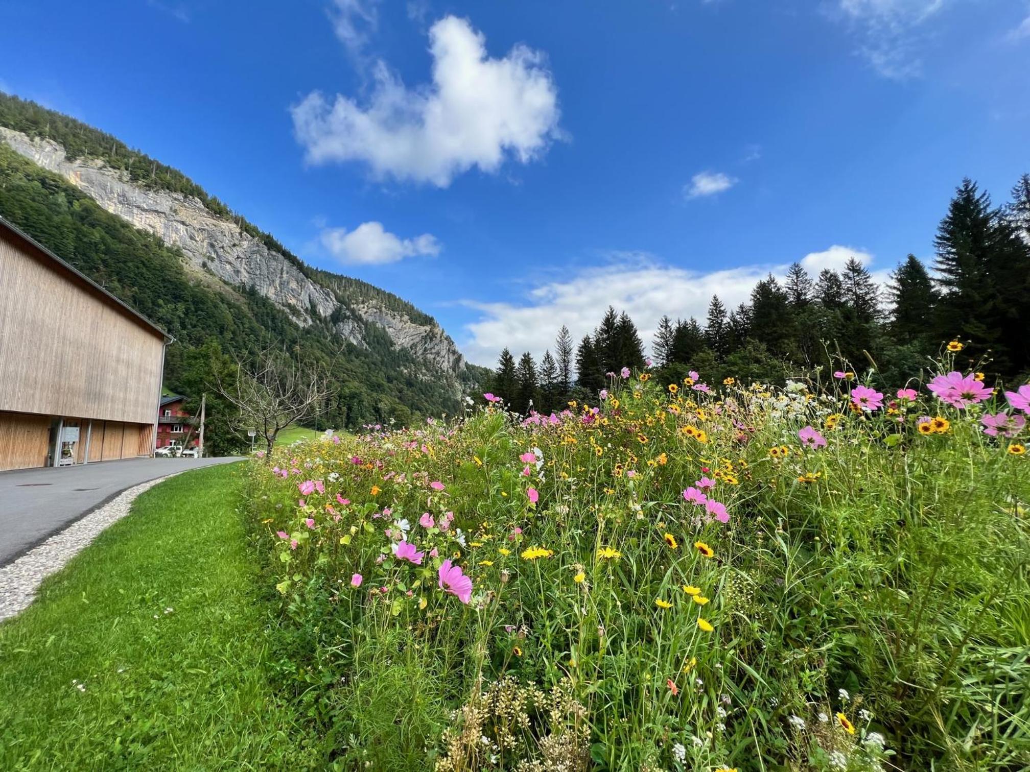Apartment Eiler - Mellau