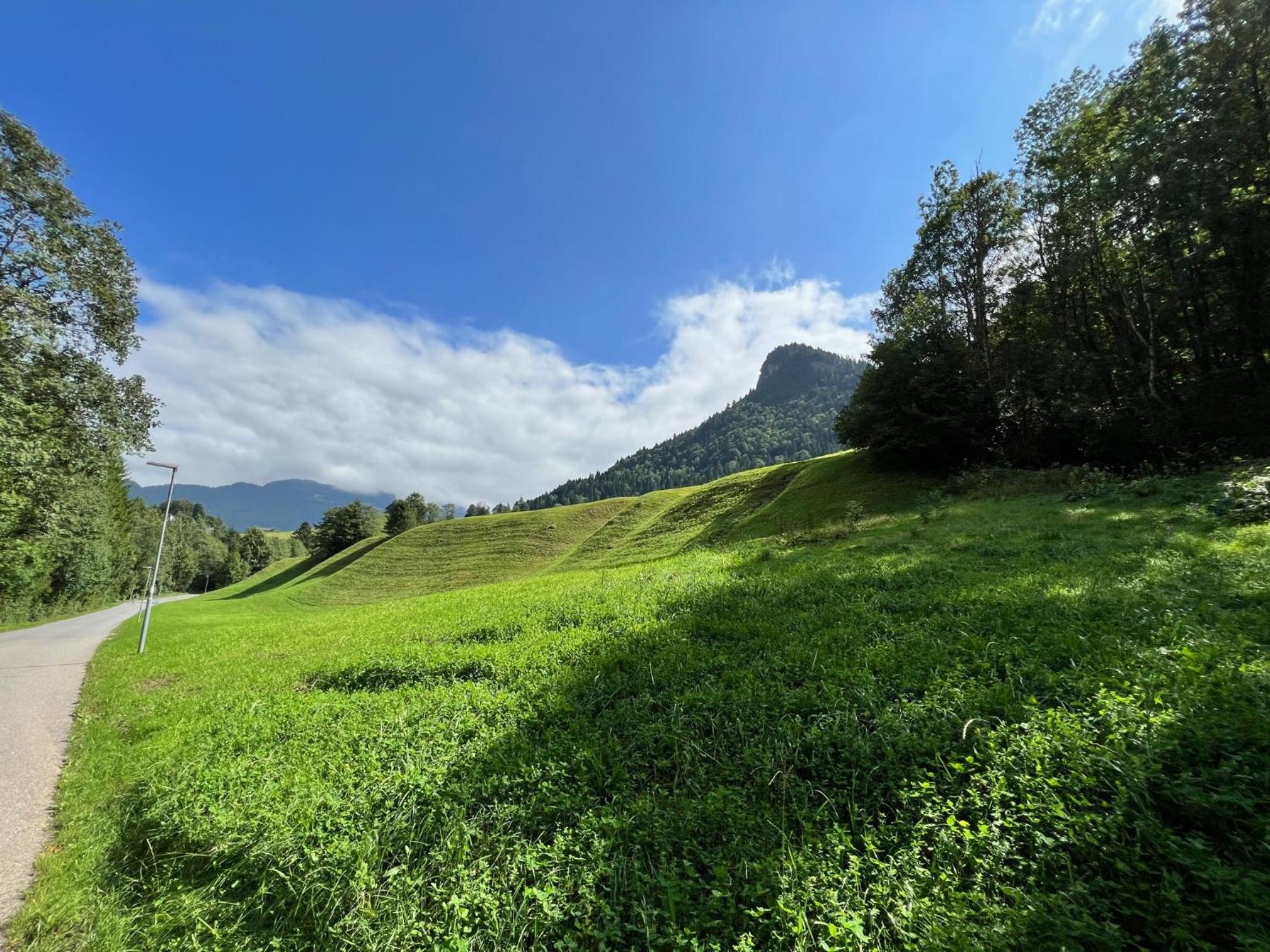 Apartment Eiler - Mellau