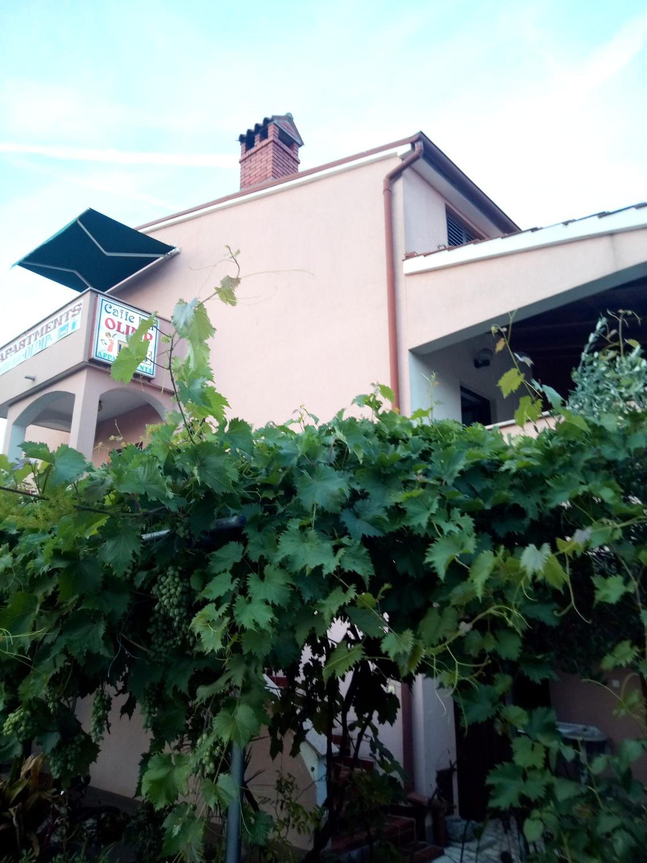 Olimp bar apartman4