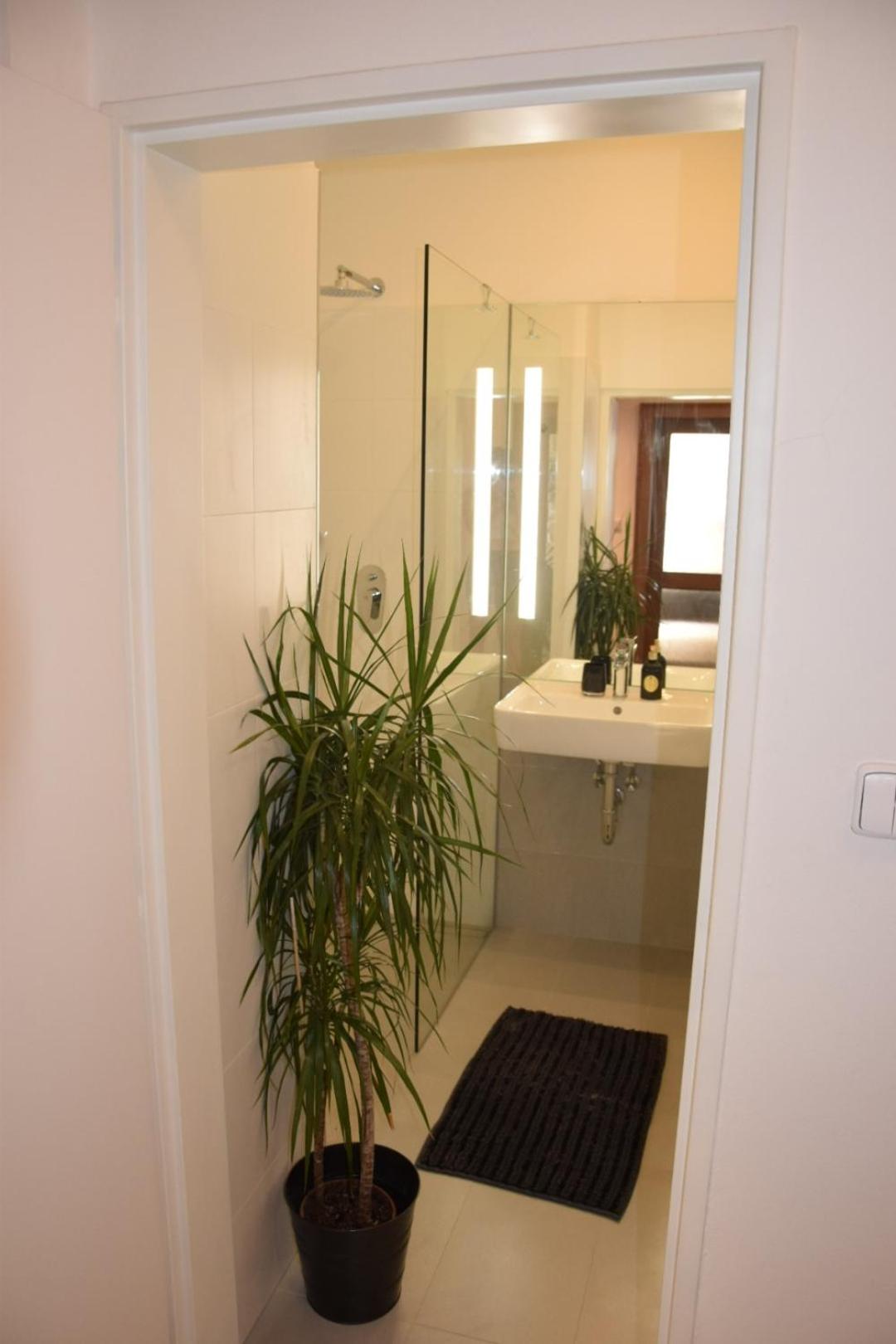 Apartment DeLuxe