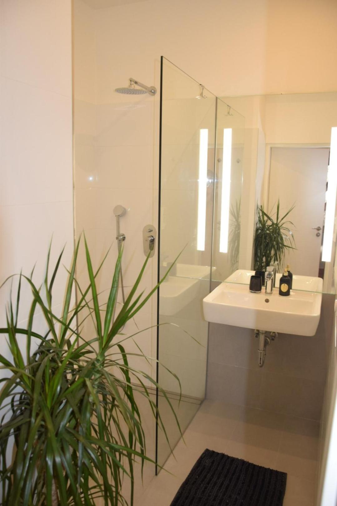 Apartment DeLuxe