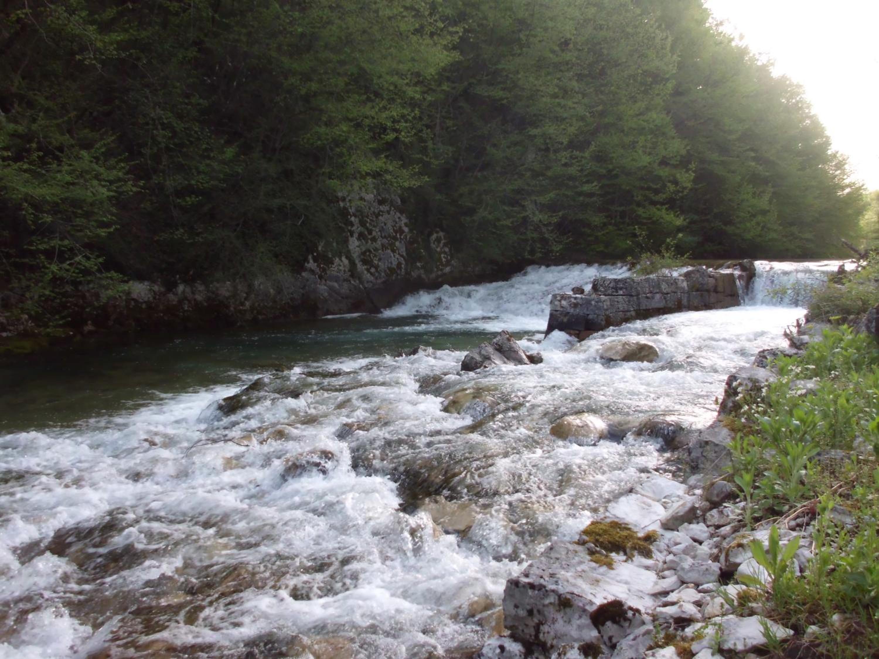 Photo 26