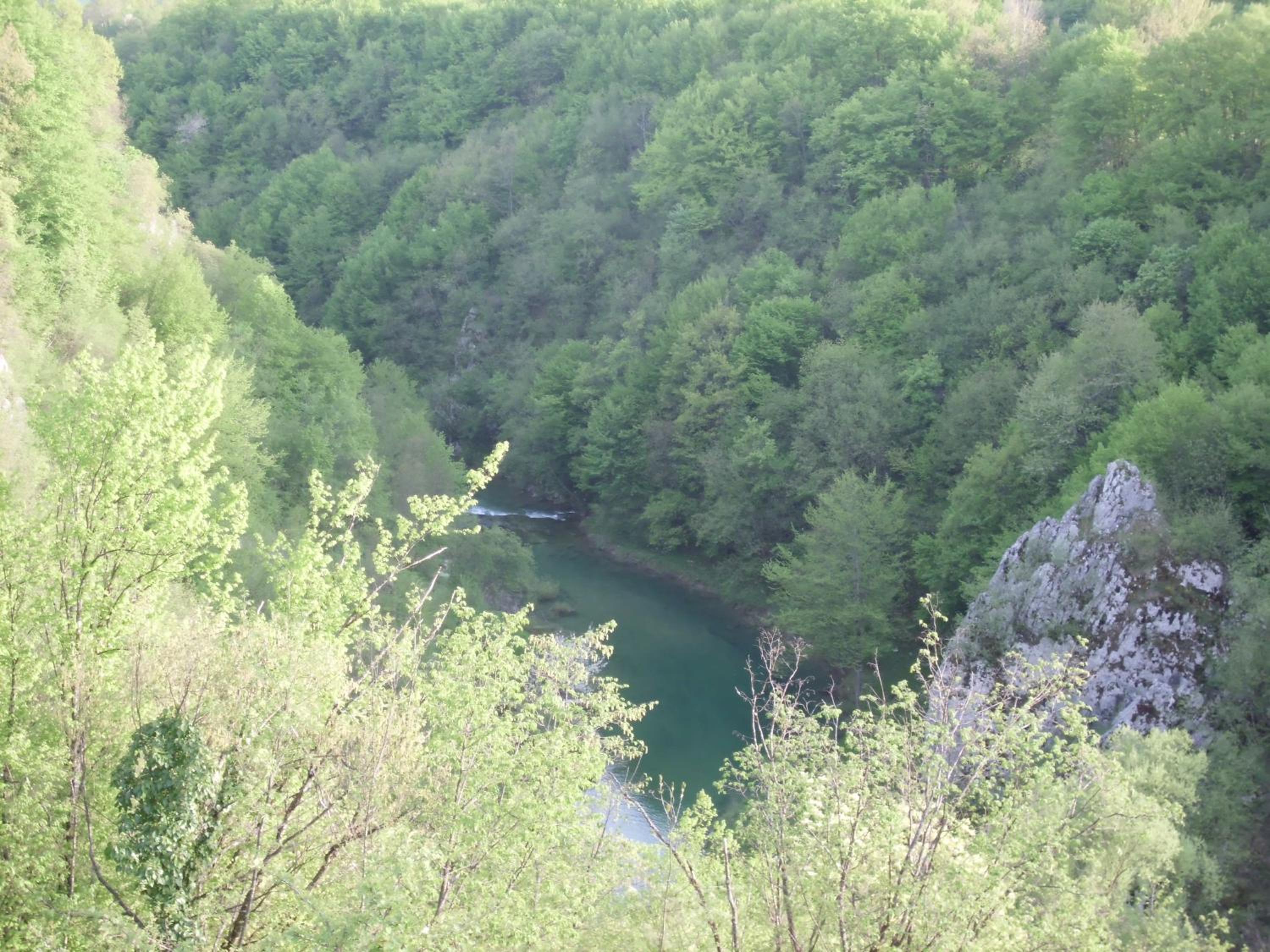 Photo 25