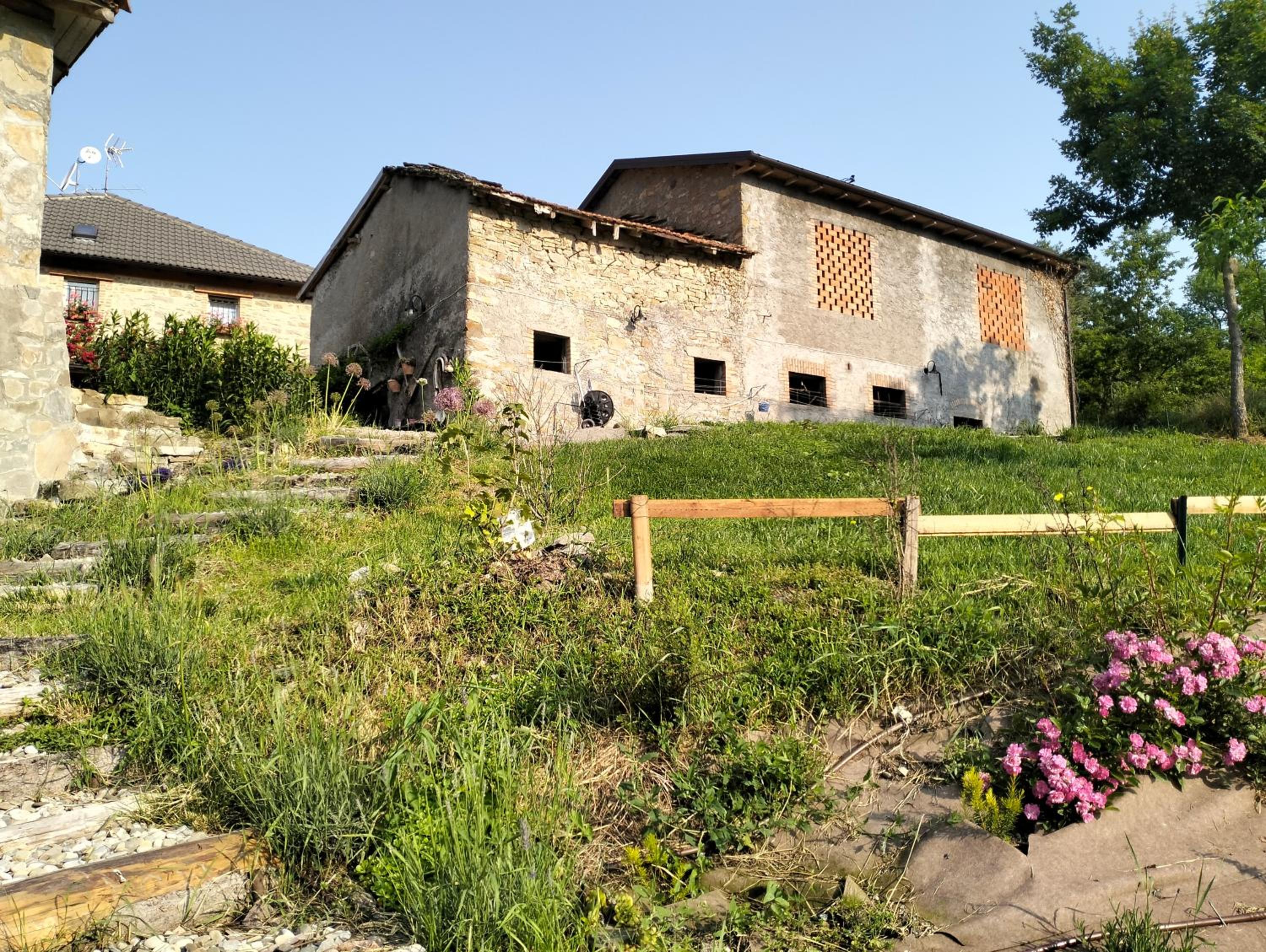 Photo 43