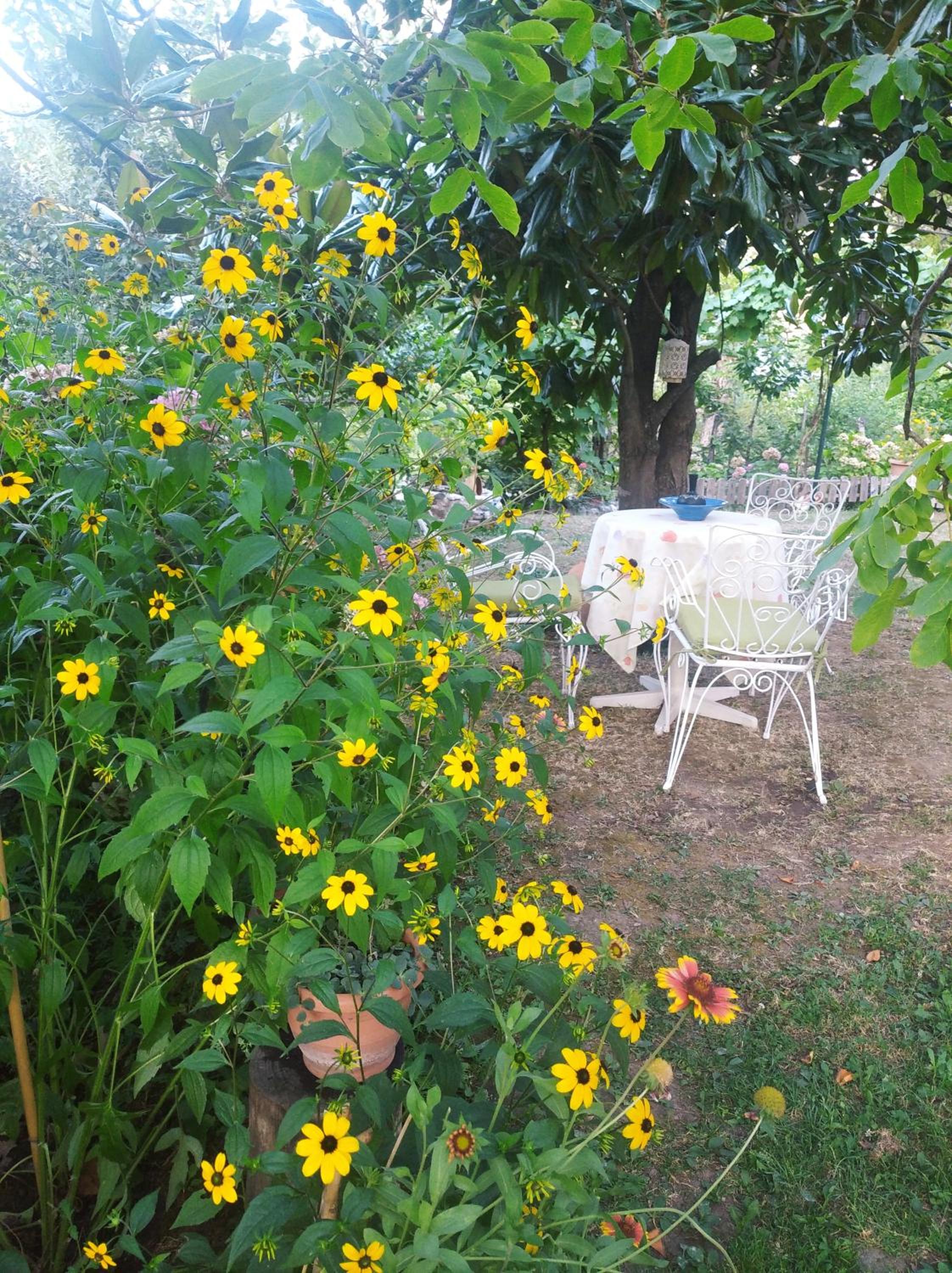 Maroulas House