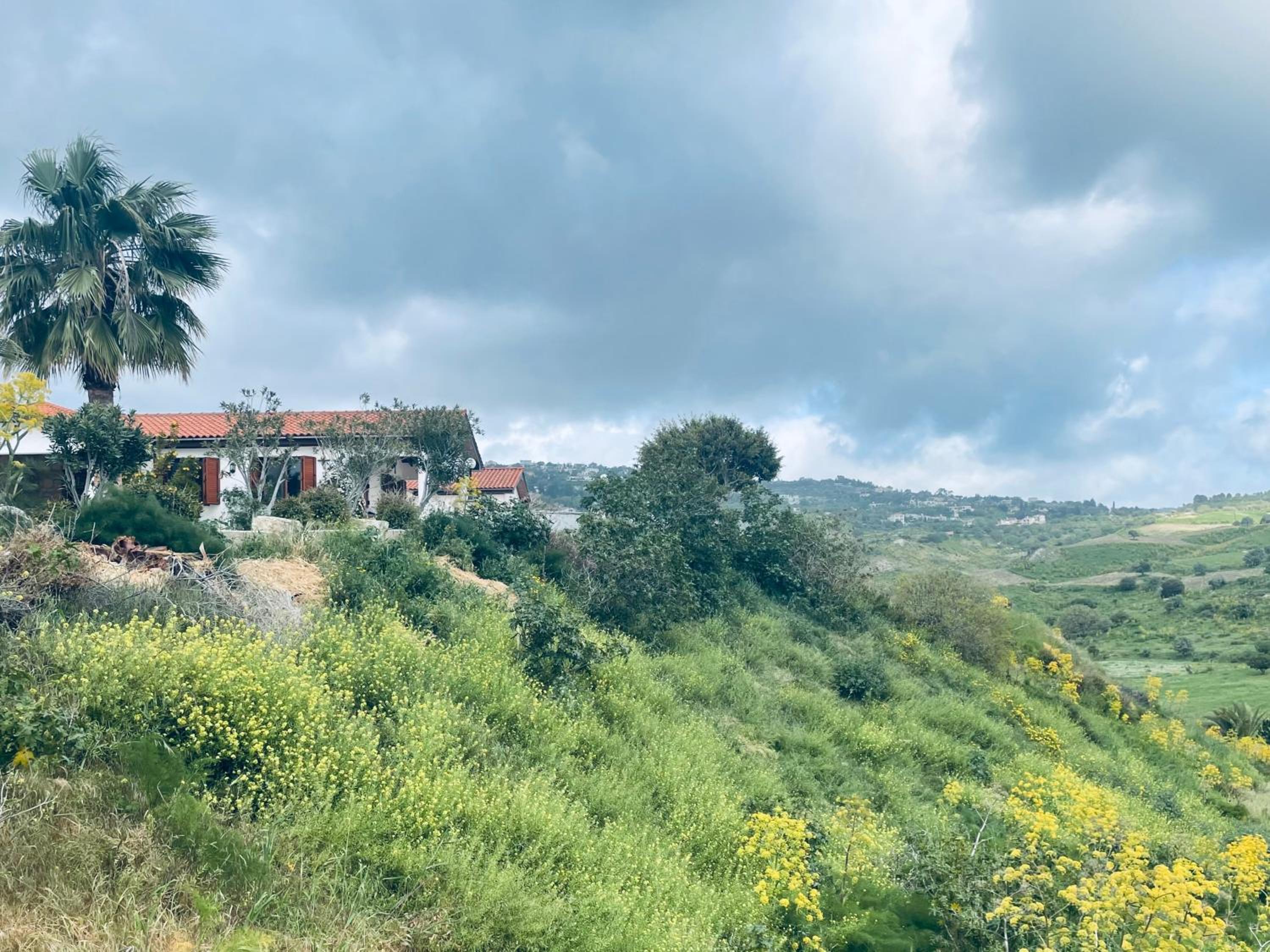Beautiful Home
