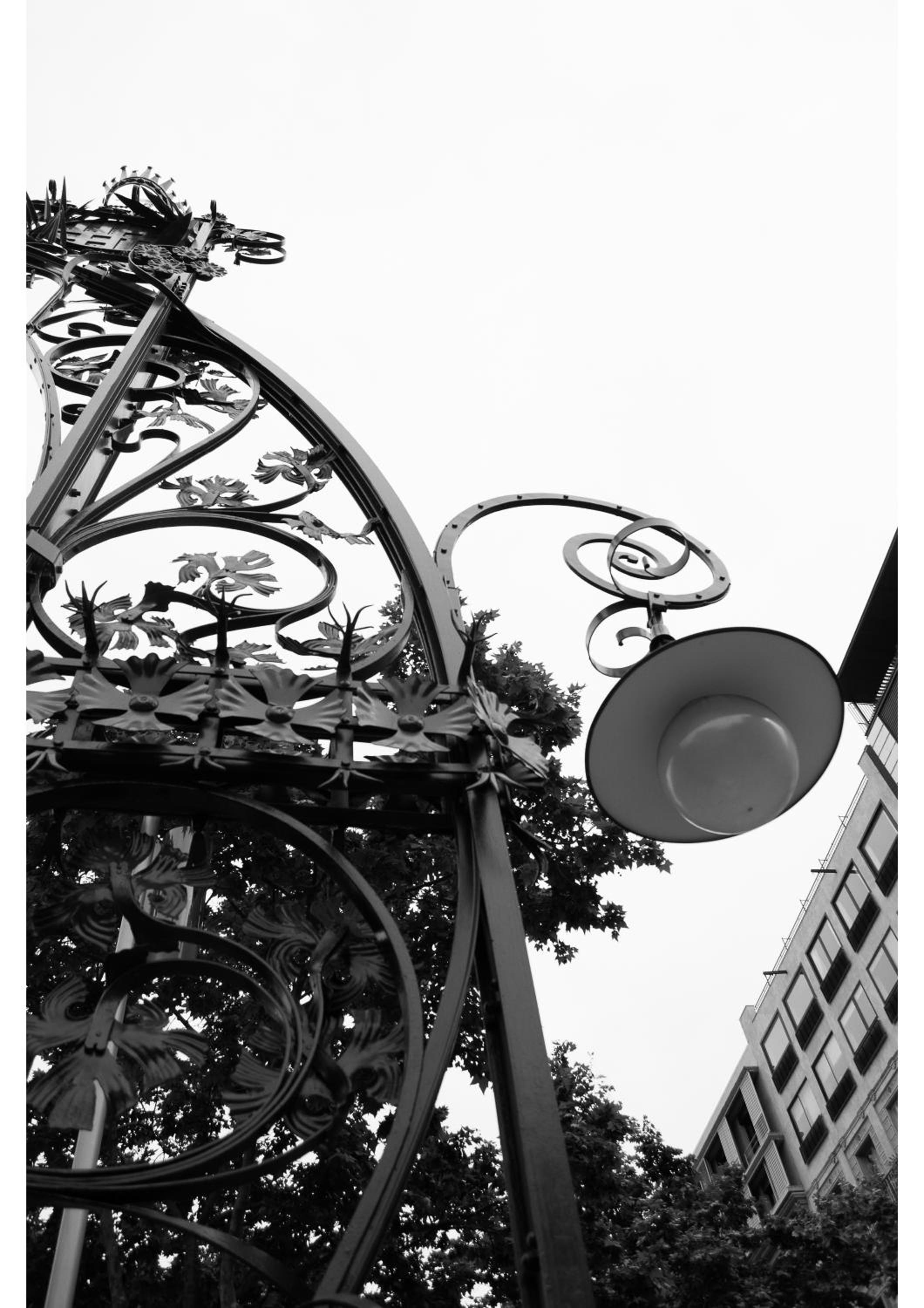 Forget Me Not Barcelona