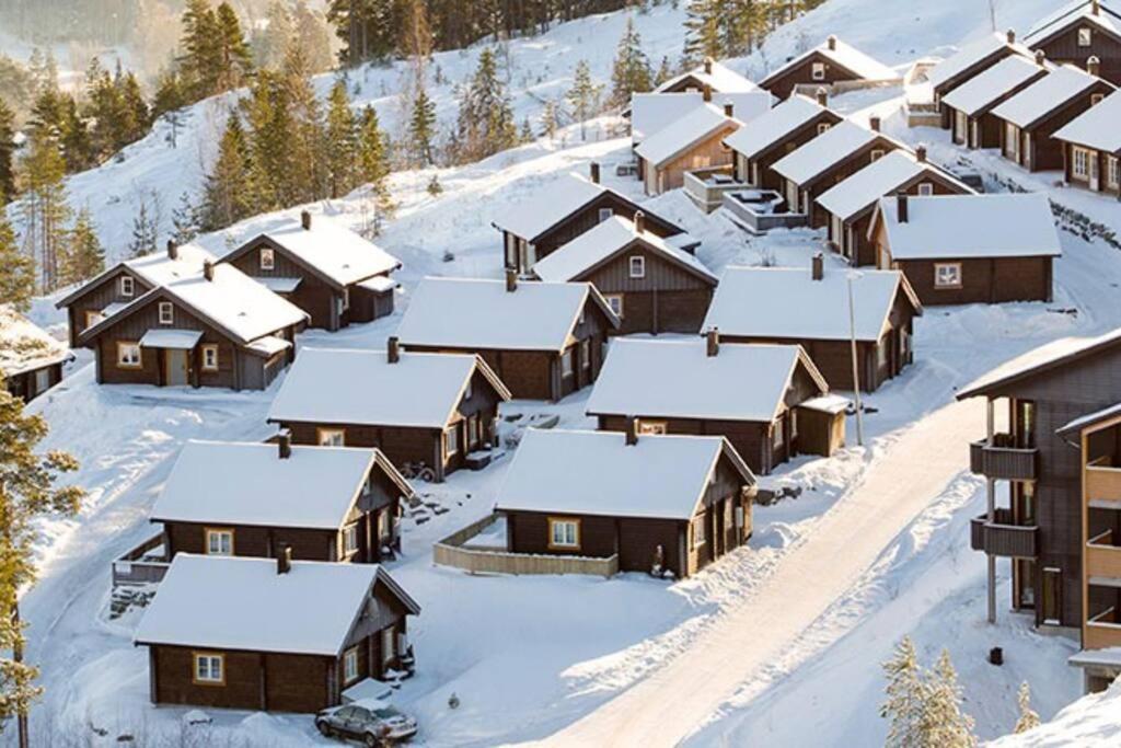 Koselig leilighet med et skritt unna skibakken! view 4